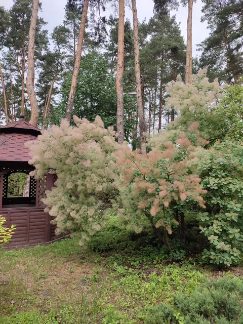 Зелена Садиба image 8