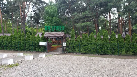 Shervud image 6