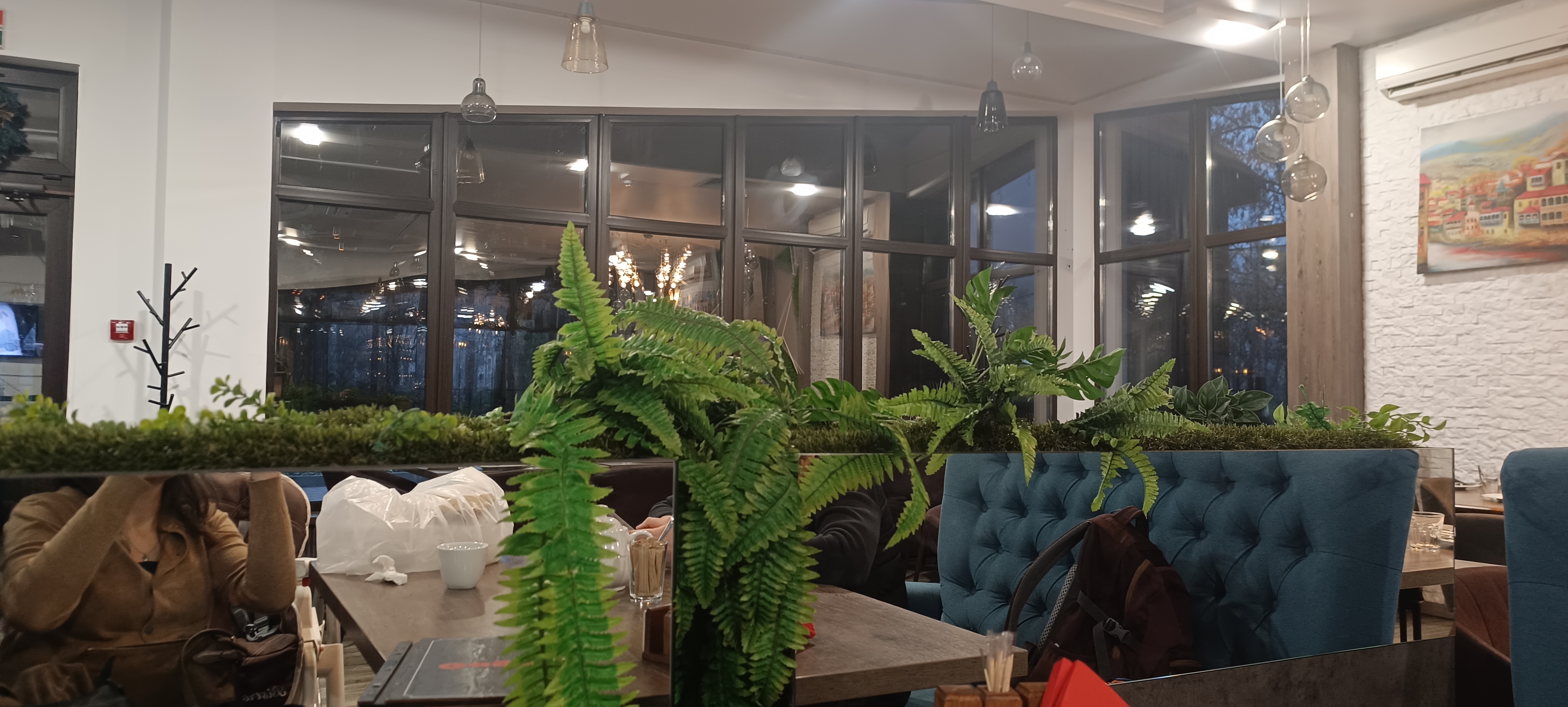 Green Garden image 2