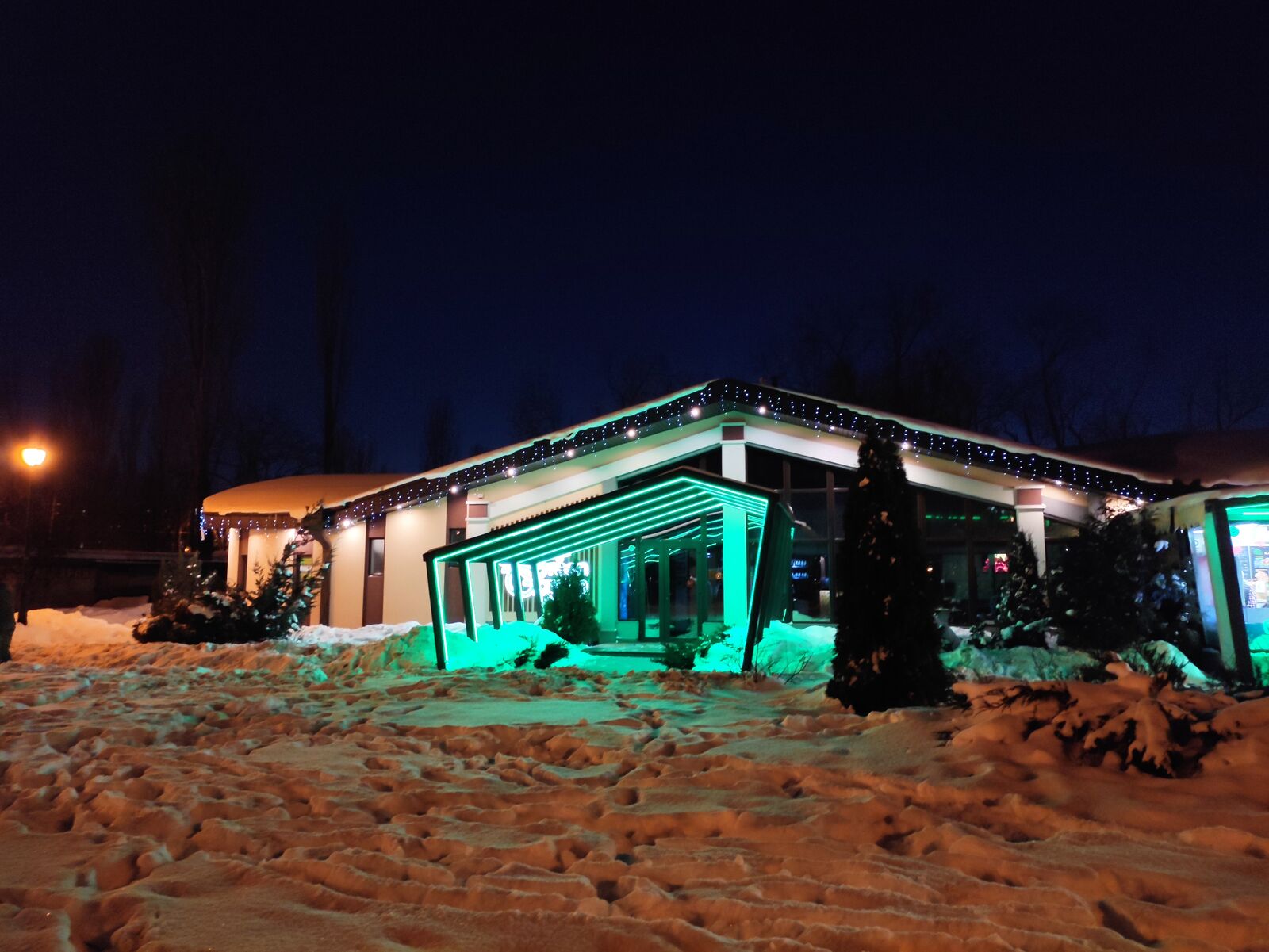 Green Garden image 9