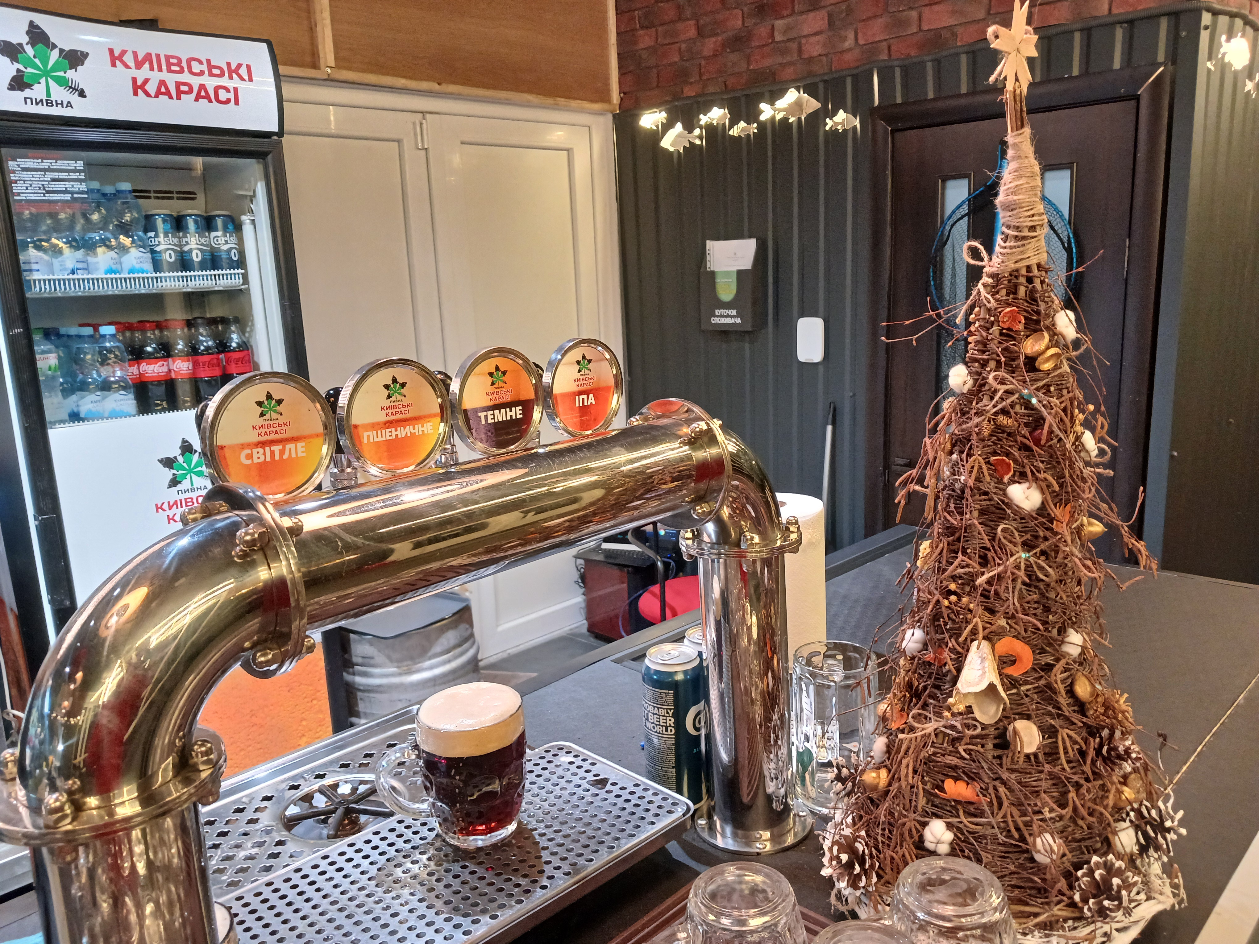 Kyyivsʹki Karasi image 9