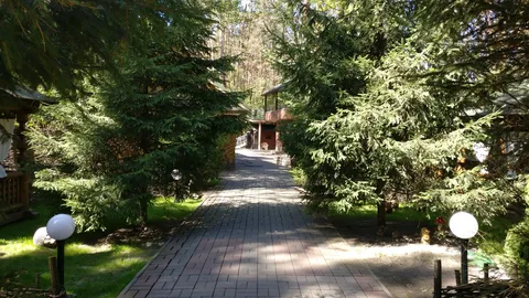 YDD image 8