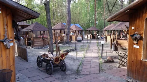 Forest tale image 1