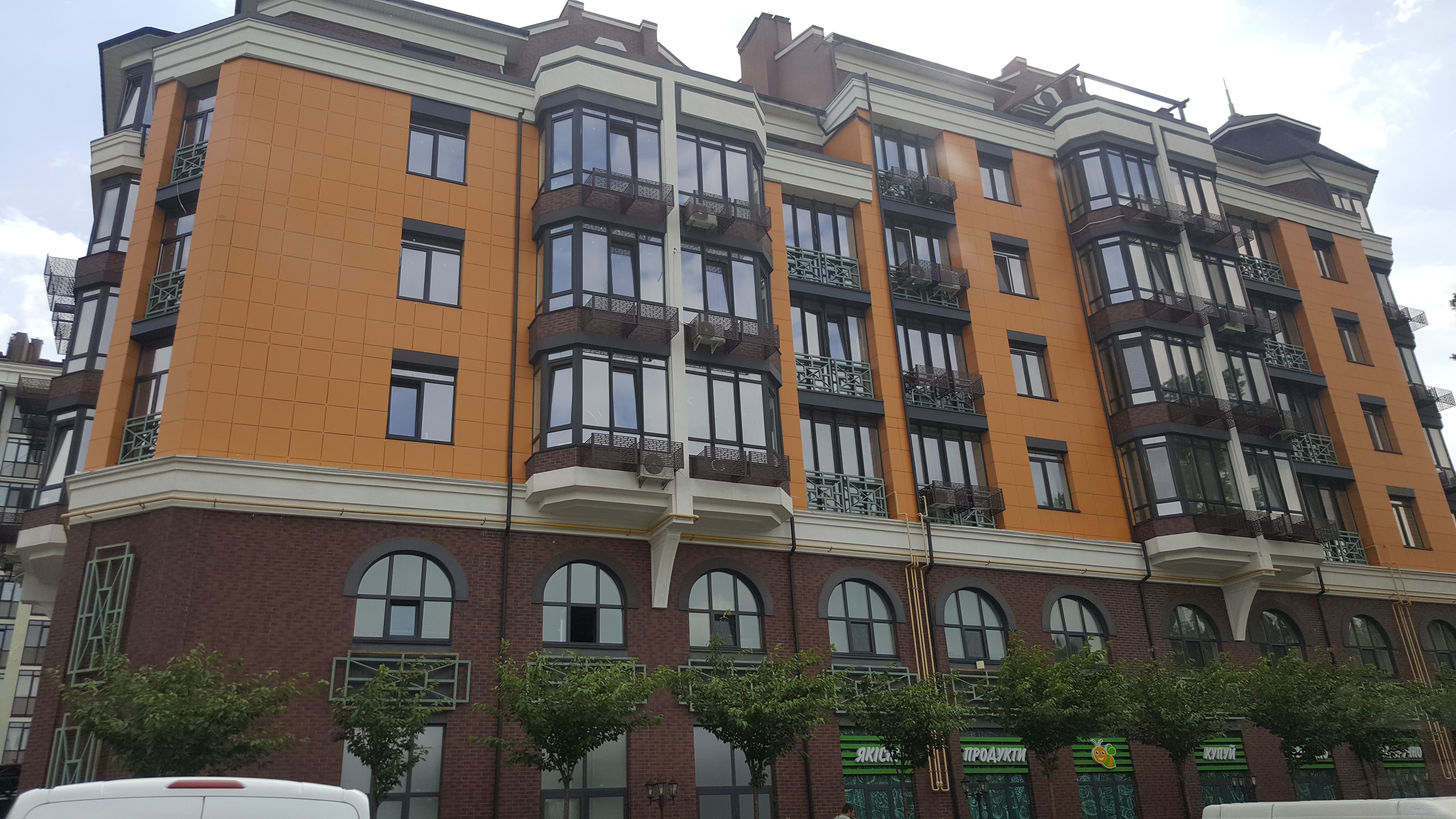 Forest tale image 10