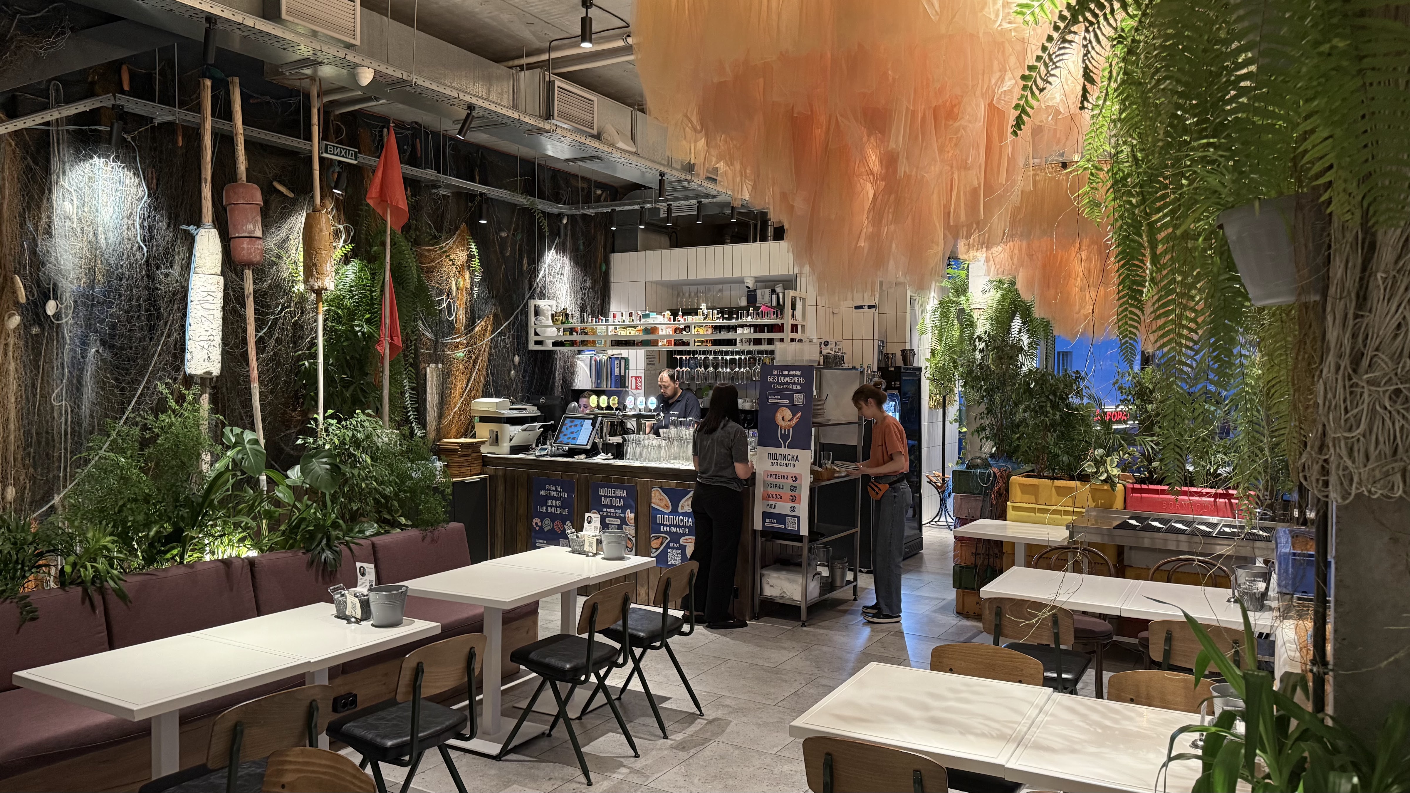 Чорноморка image 5