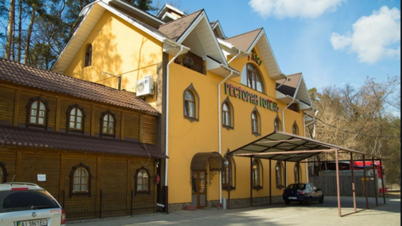 In the forest image 3