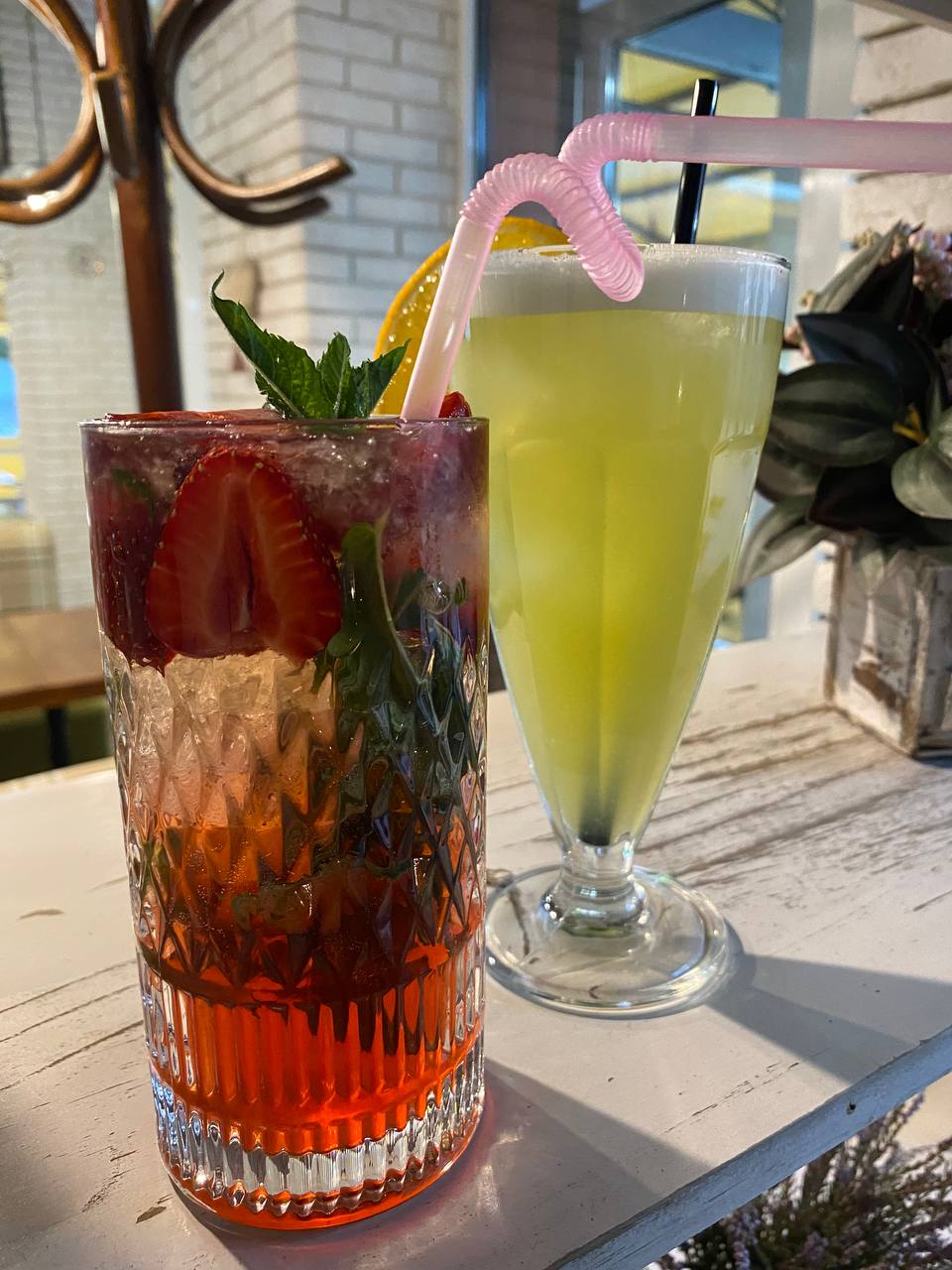 RosmarinoVerde image 5