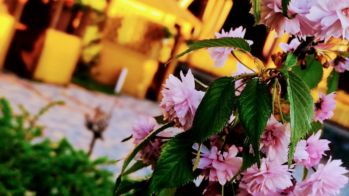 Restoran Venetsiya image 3