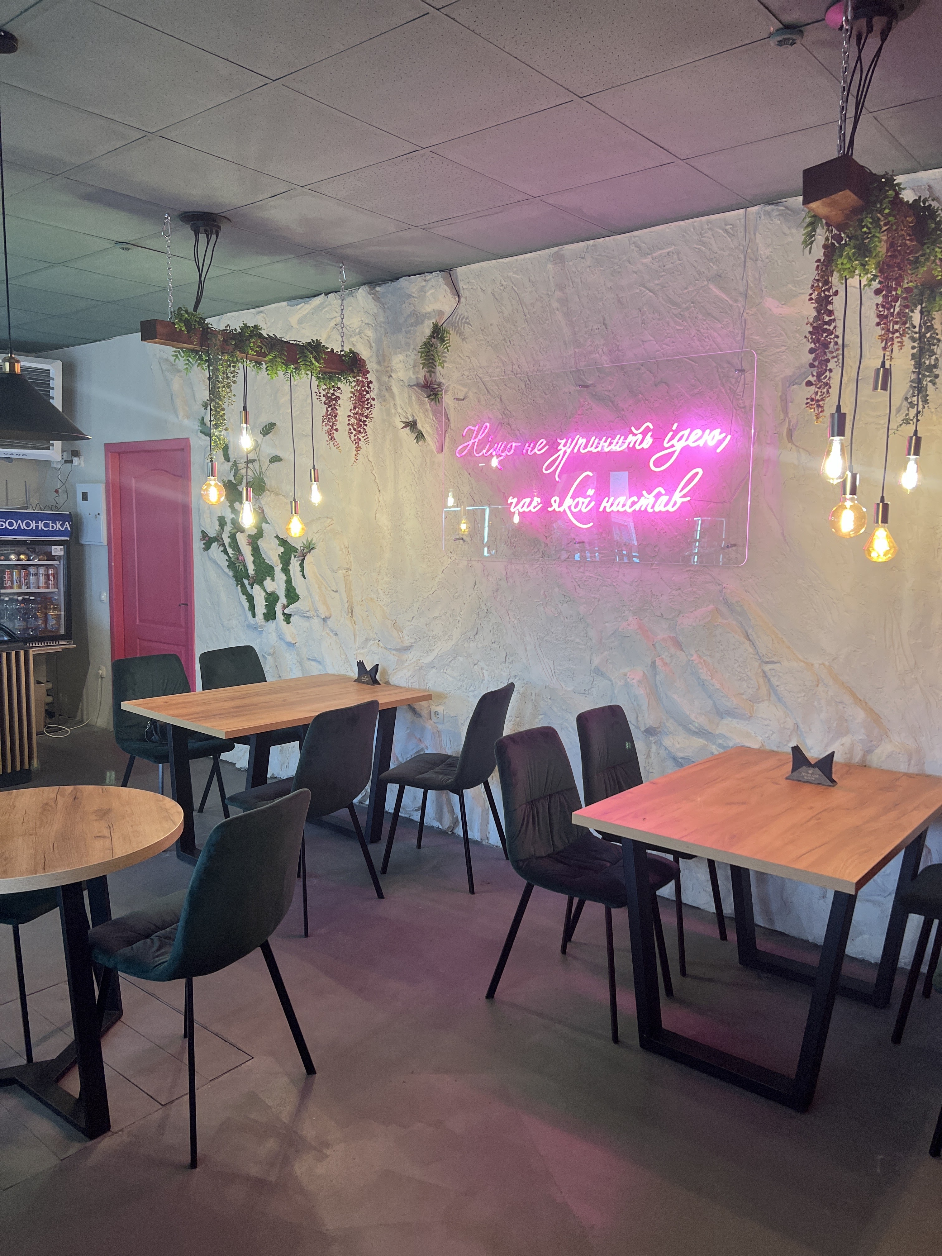 Avokado-room кафе-бар , кейтеринг image 9