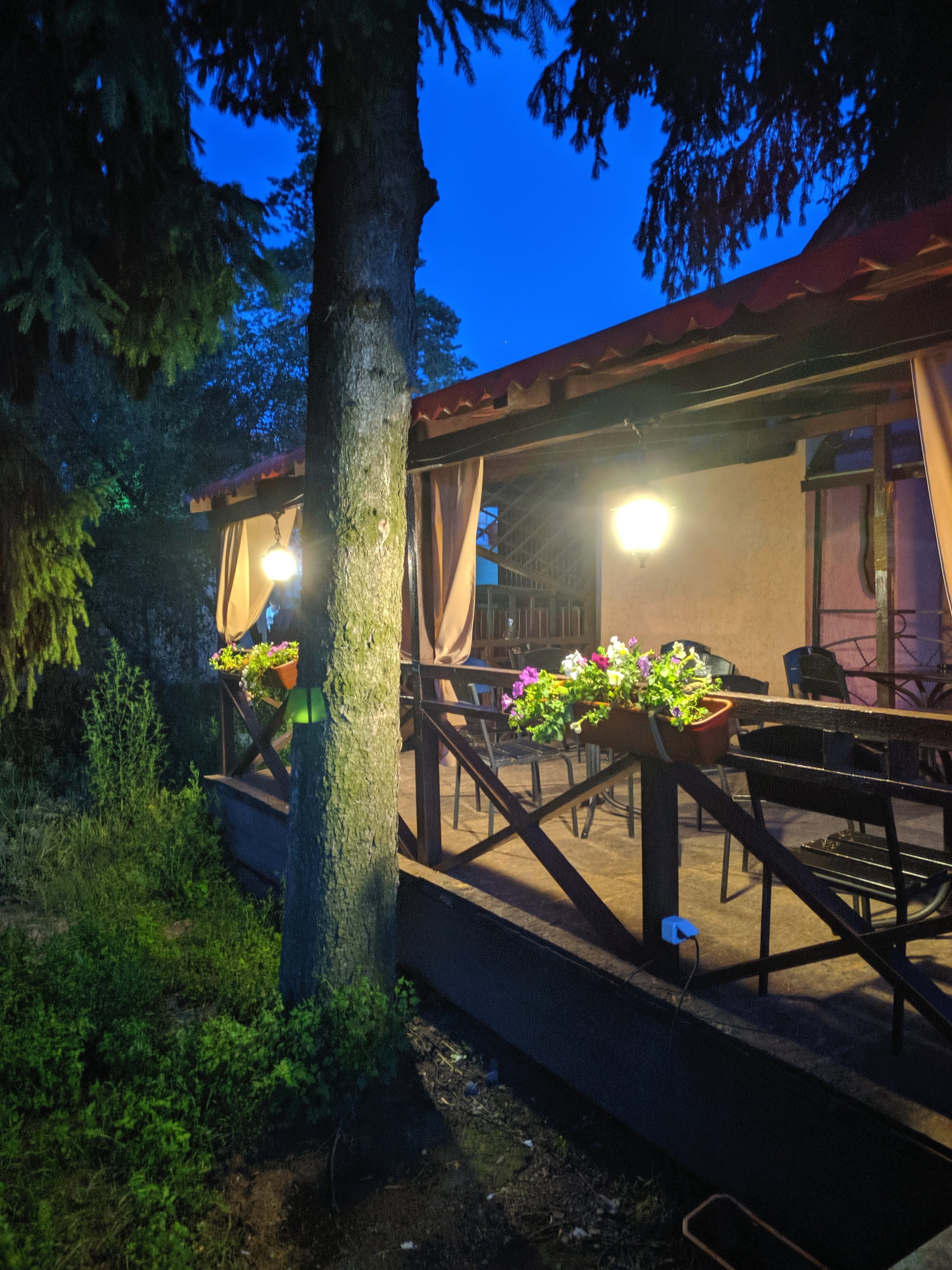 Art-Pitseriya image 6