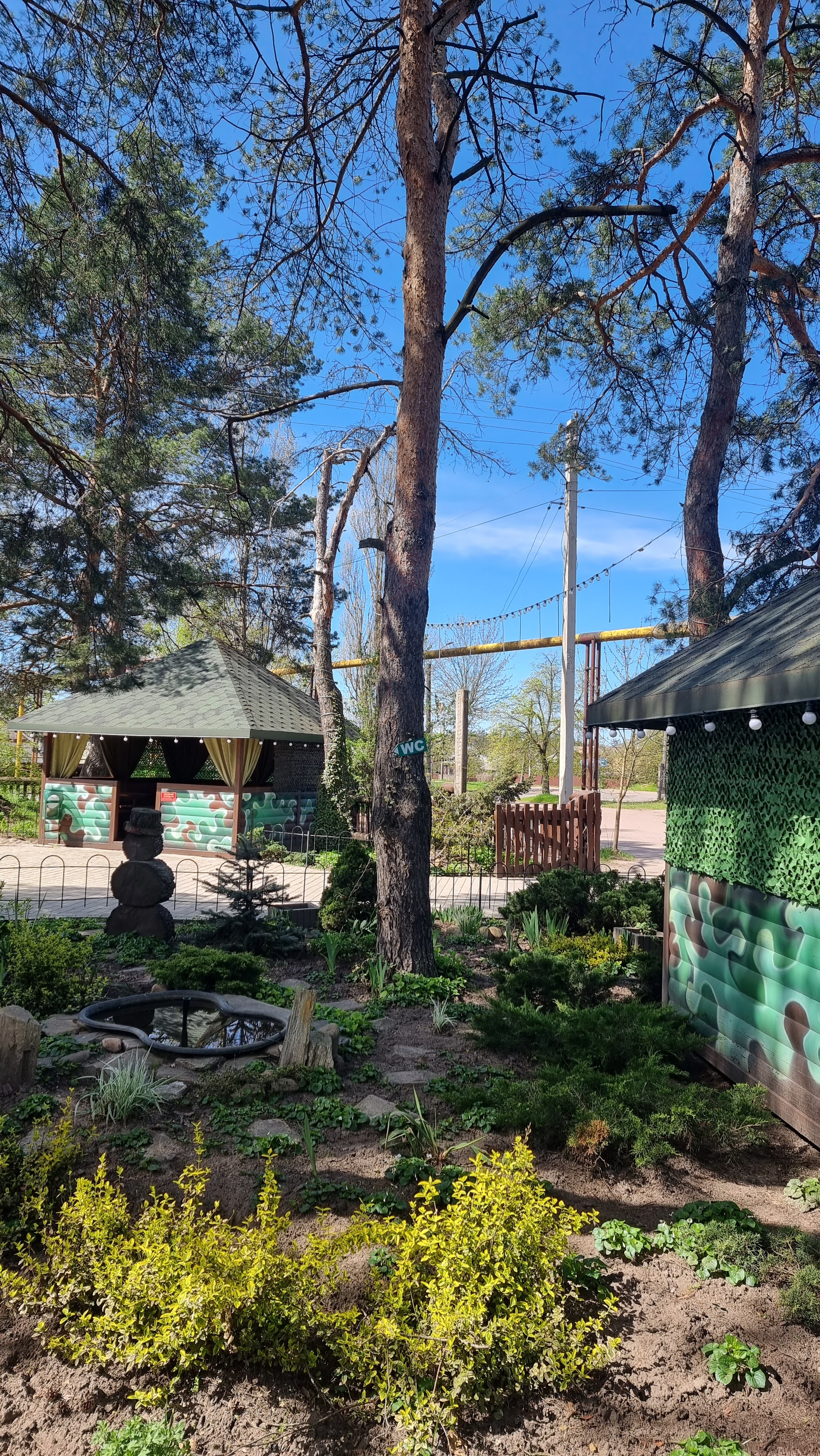 Myslyvsʹka Yalynka image 7