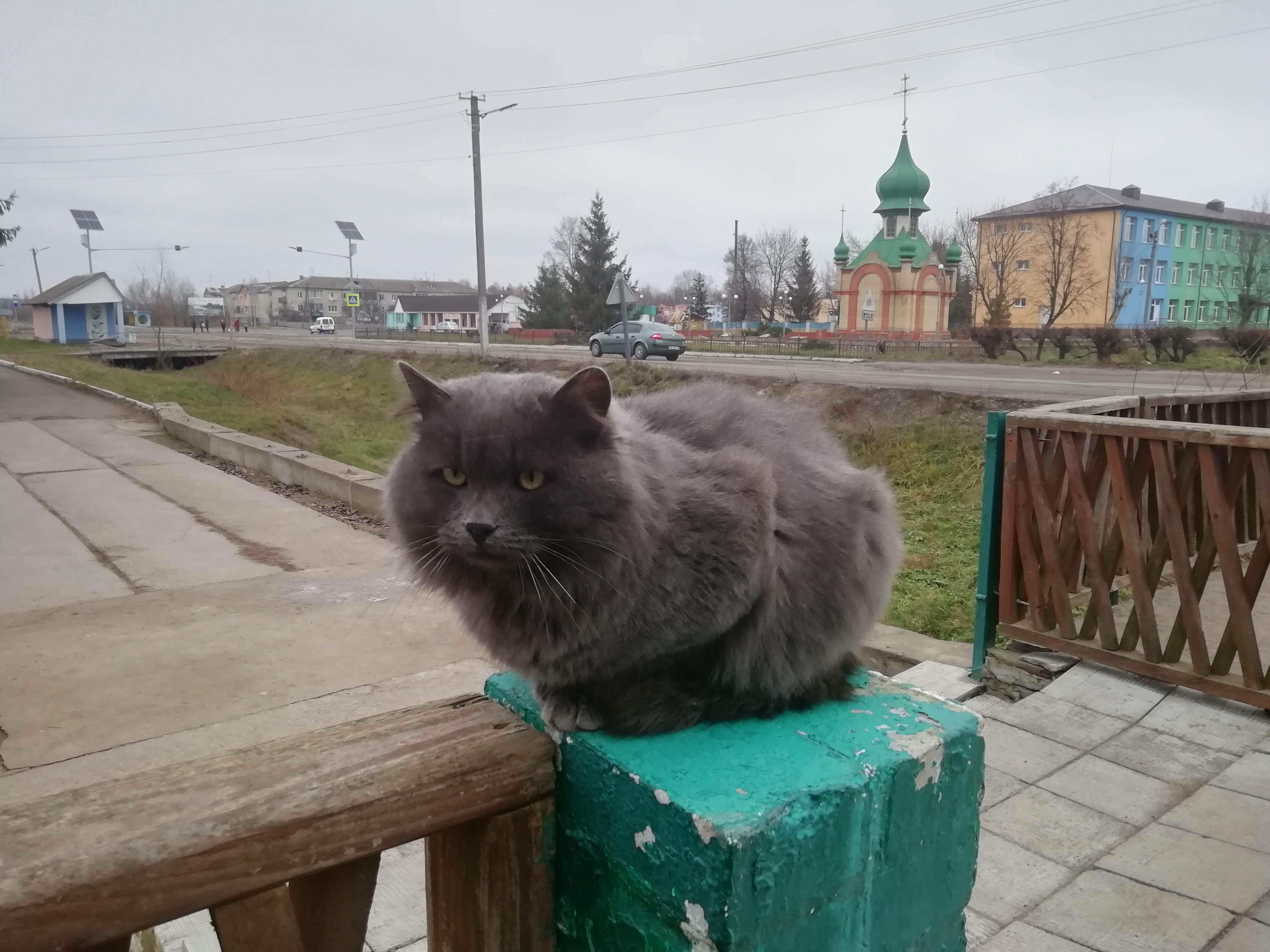кафе-бар image 6