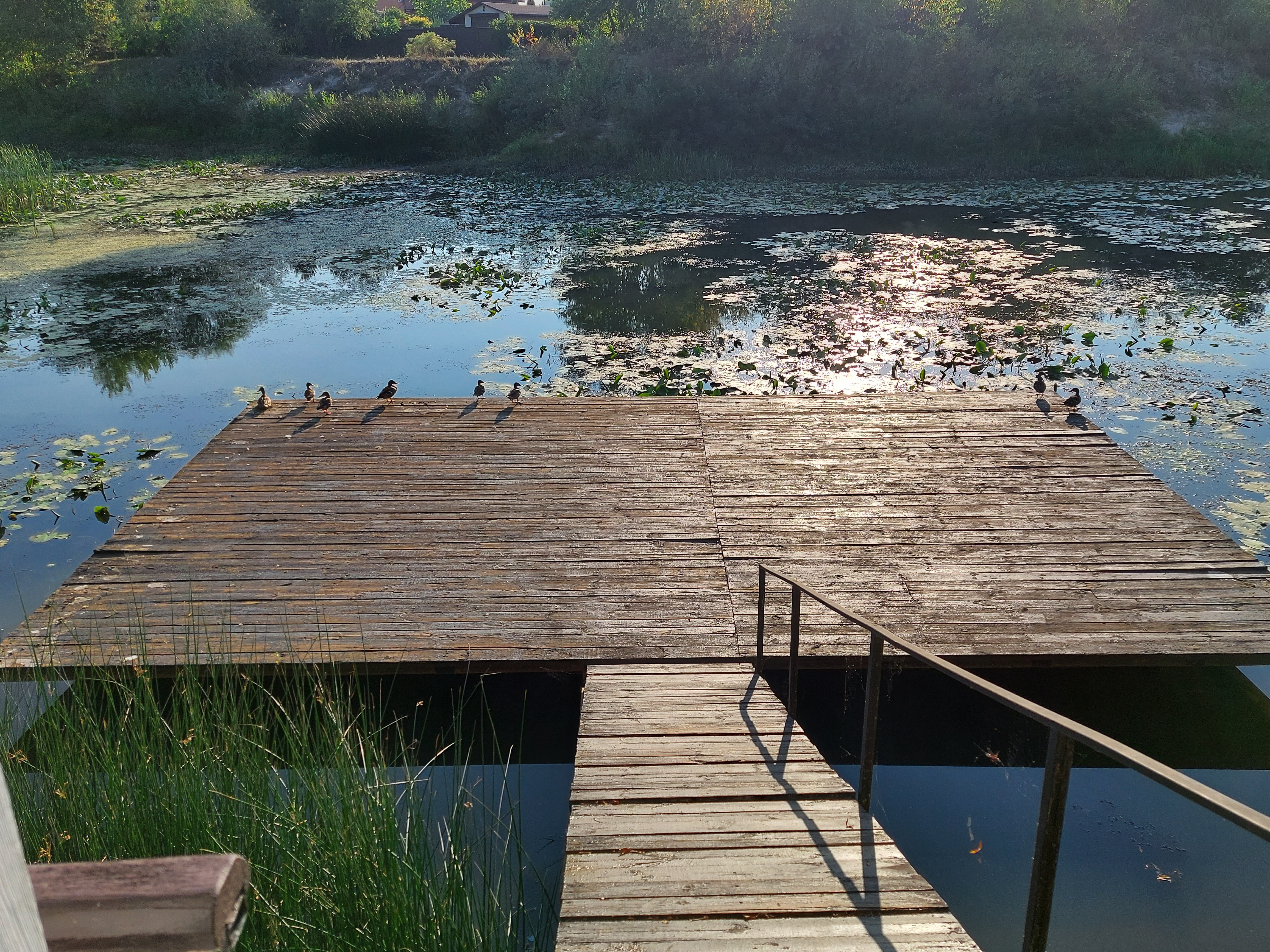 Sail on Desna river image 10