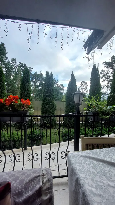 Borovyk image 4