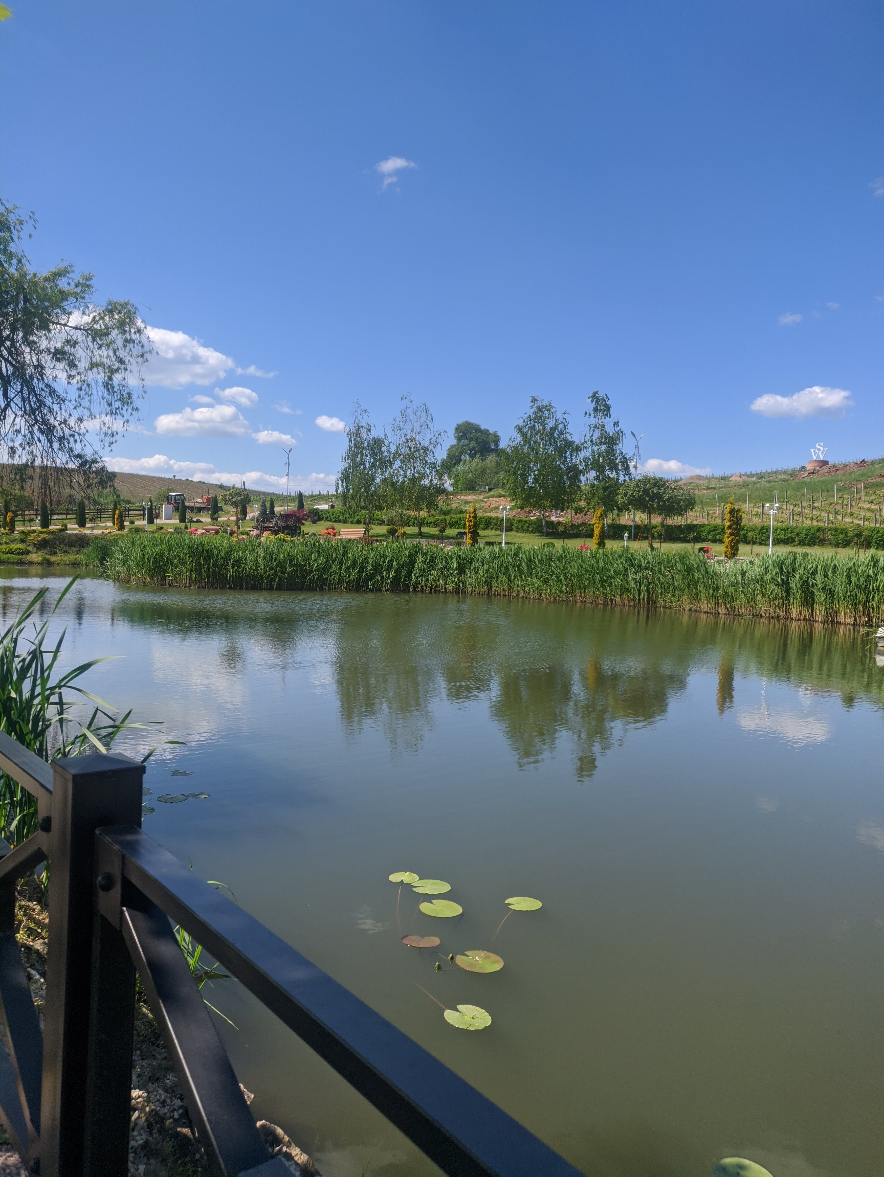 Wine Taverna image 3