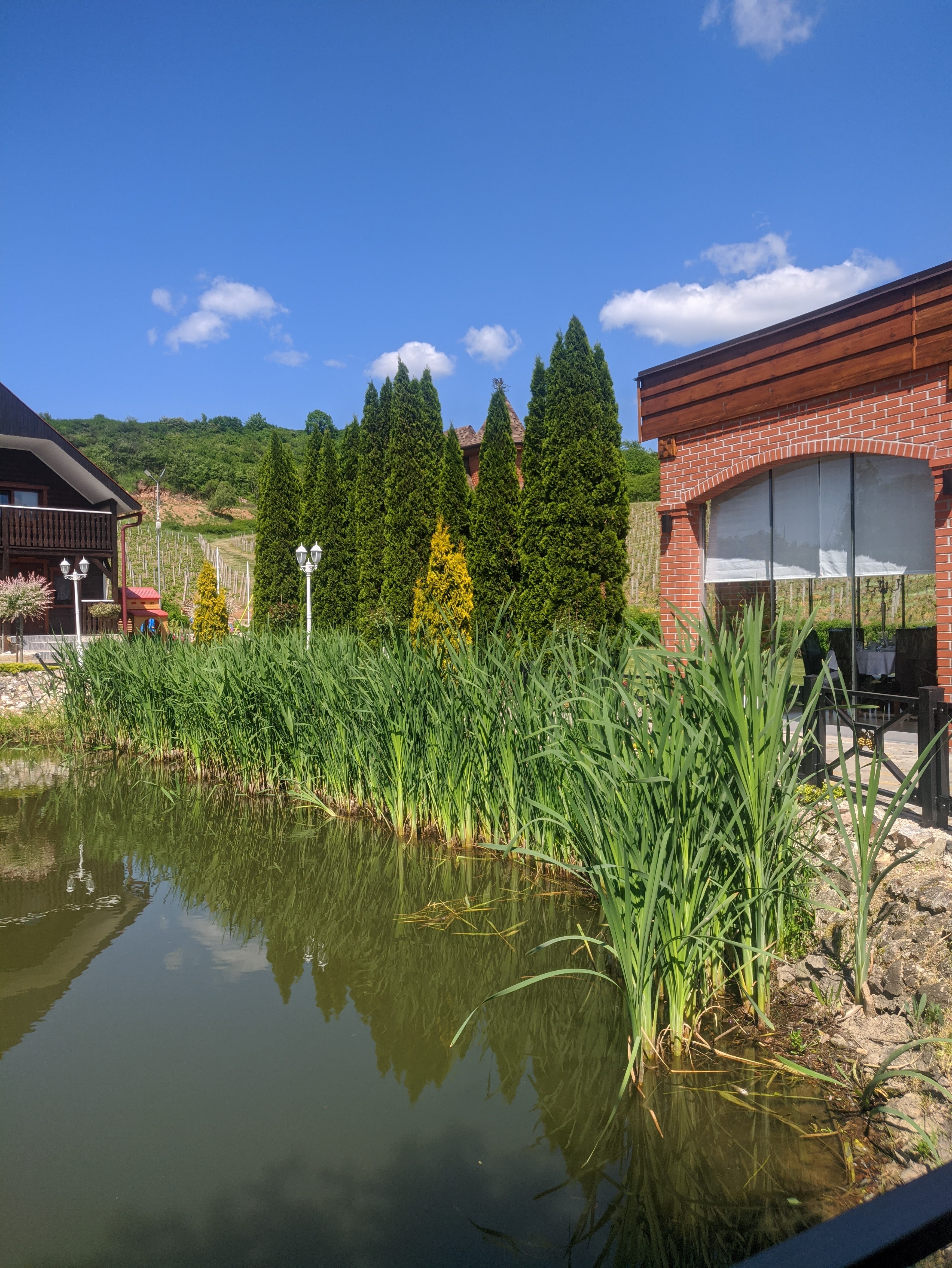 Wine Taverna image 4