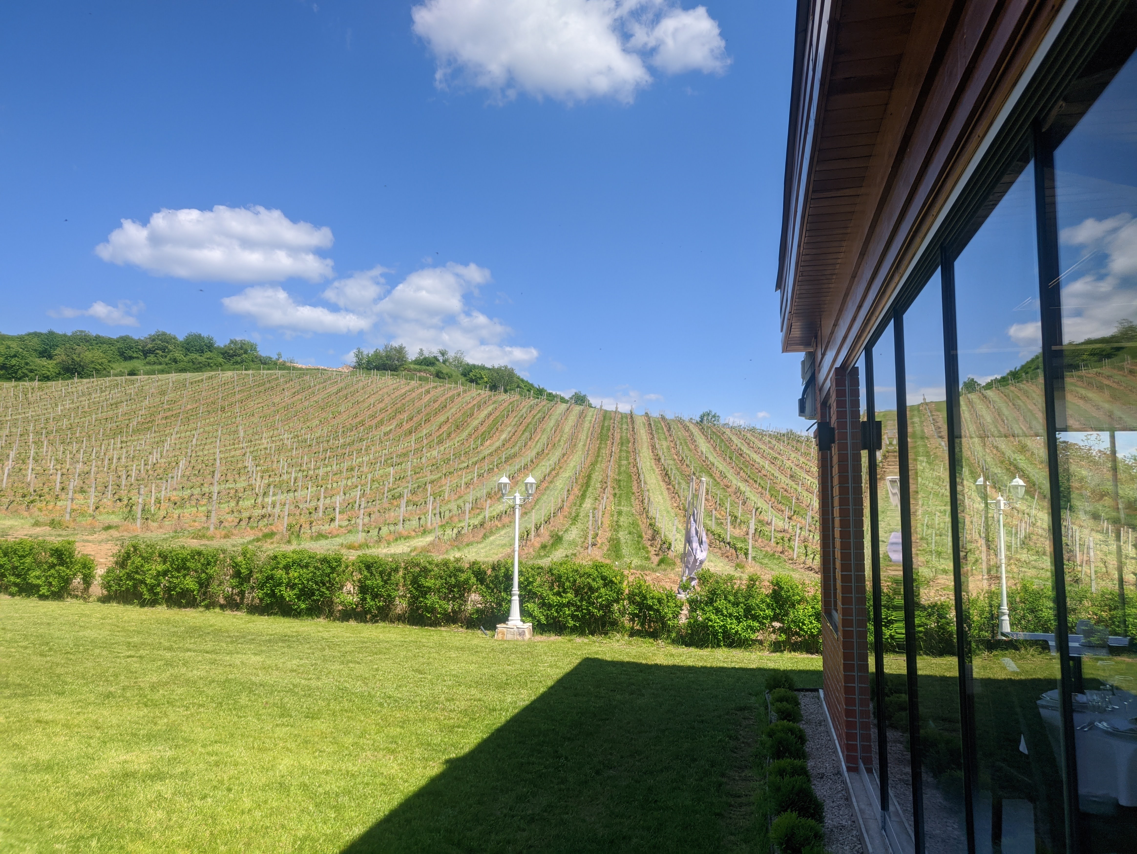 Wine Taverna image 5