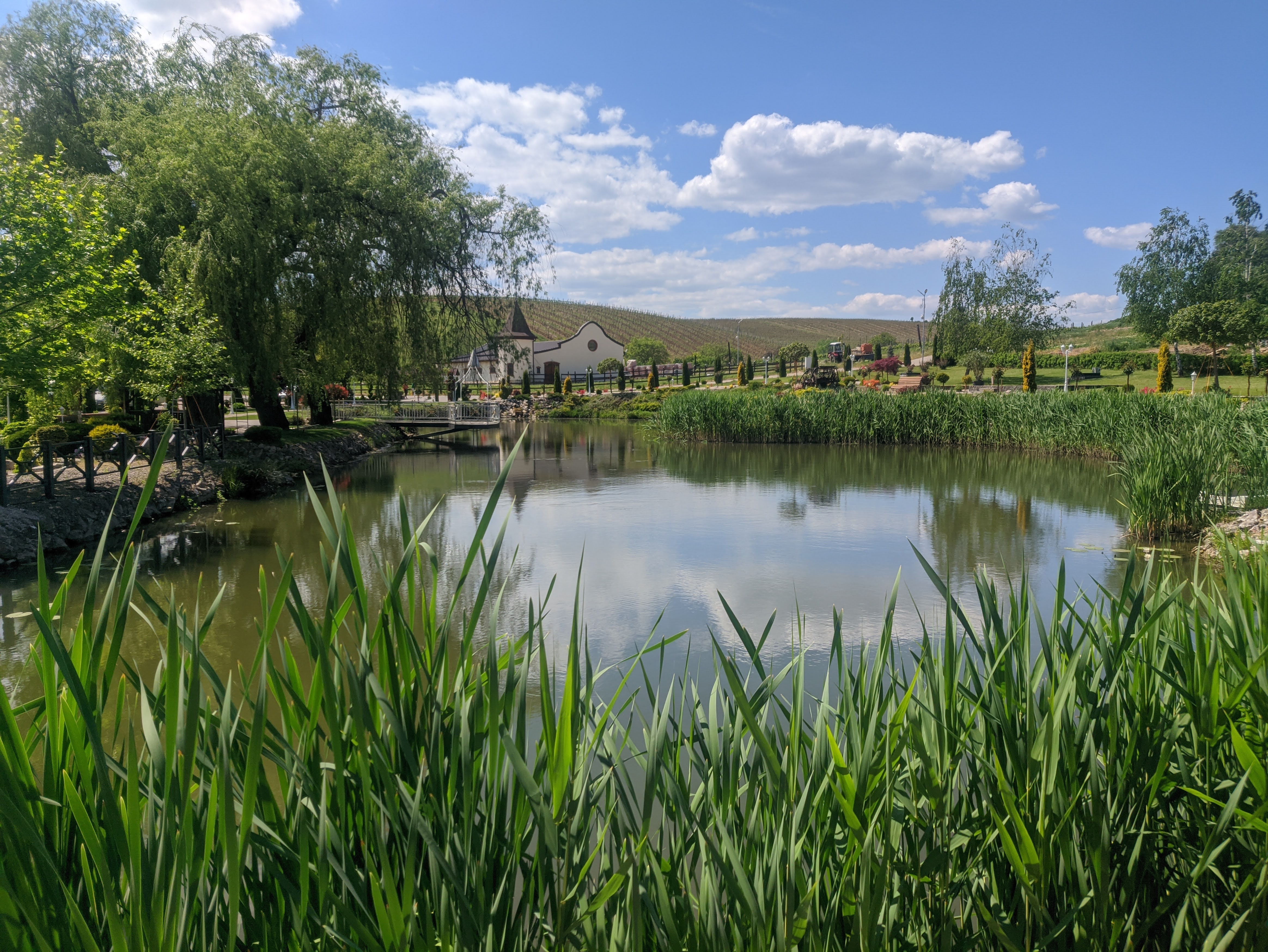 Wine Taverna image 7