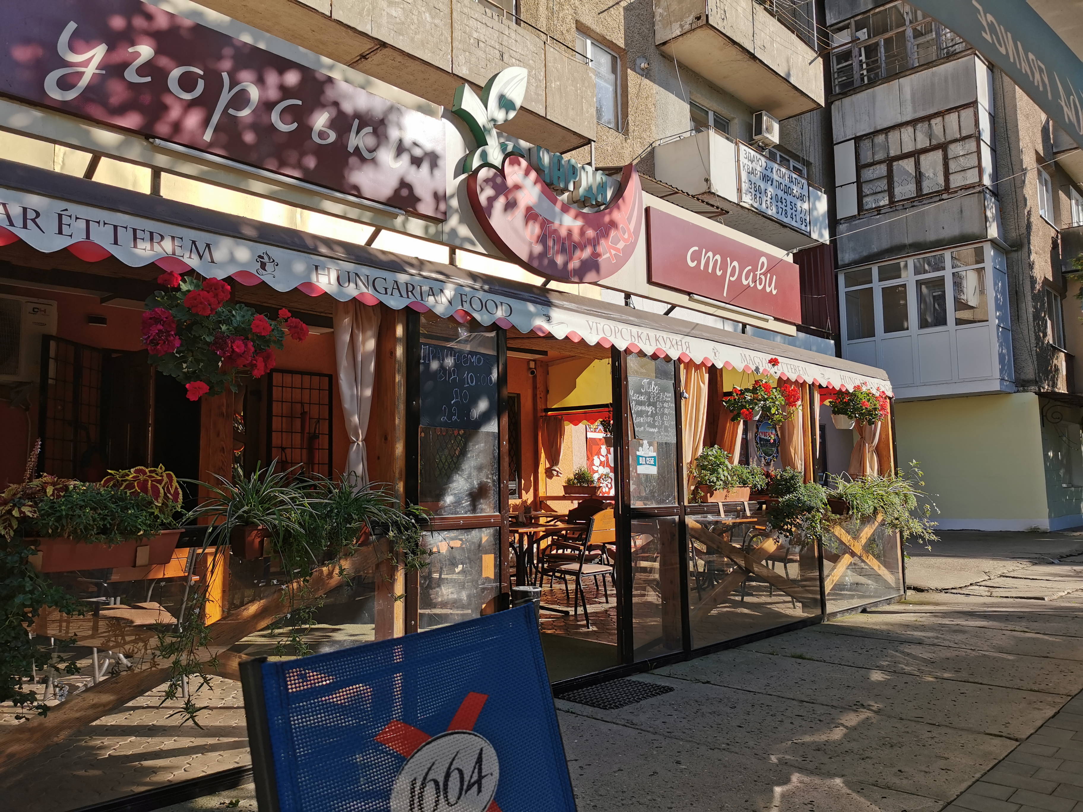 Charda Papryka image 6