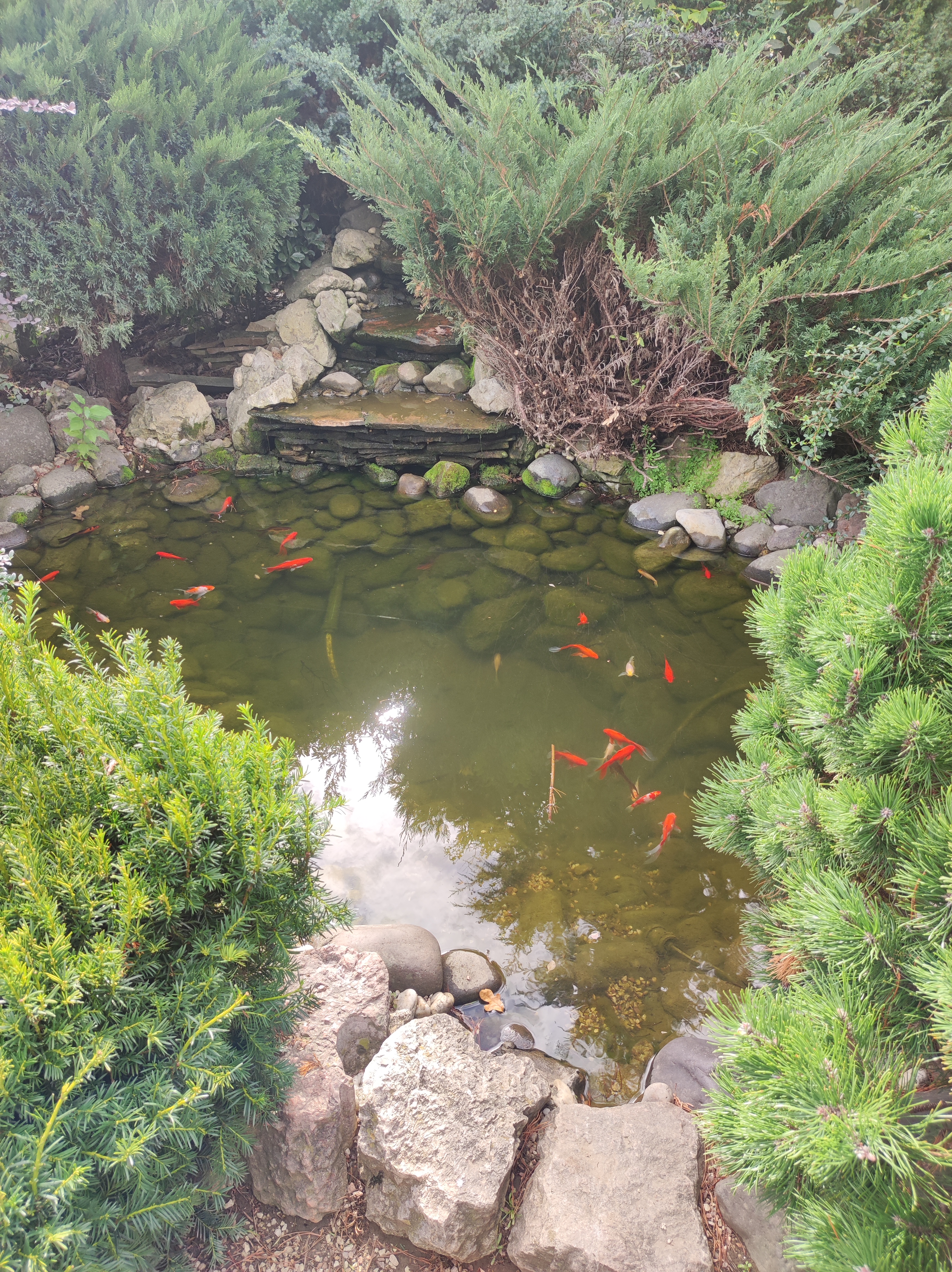 Vadász Csárda image 6