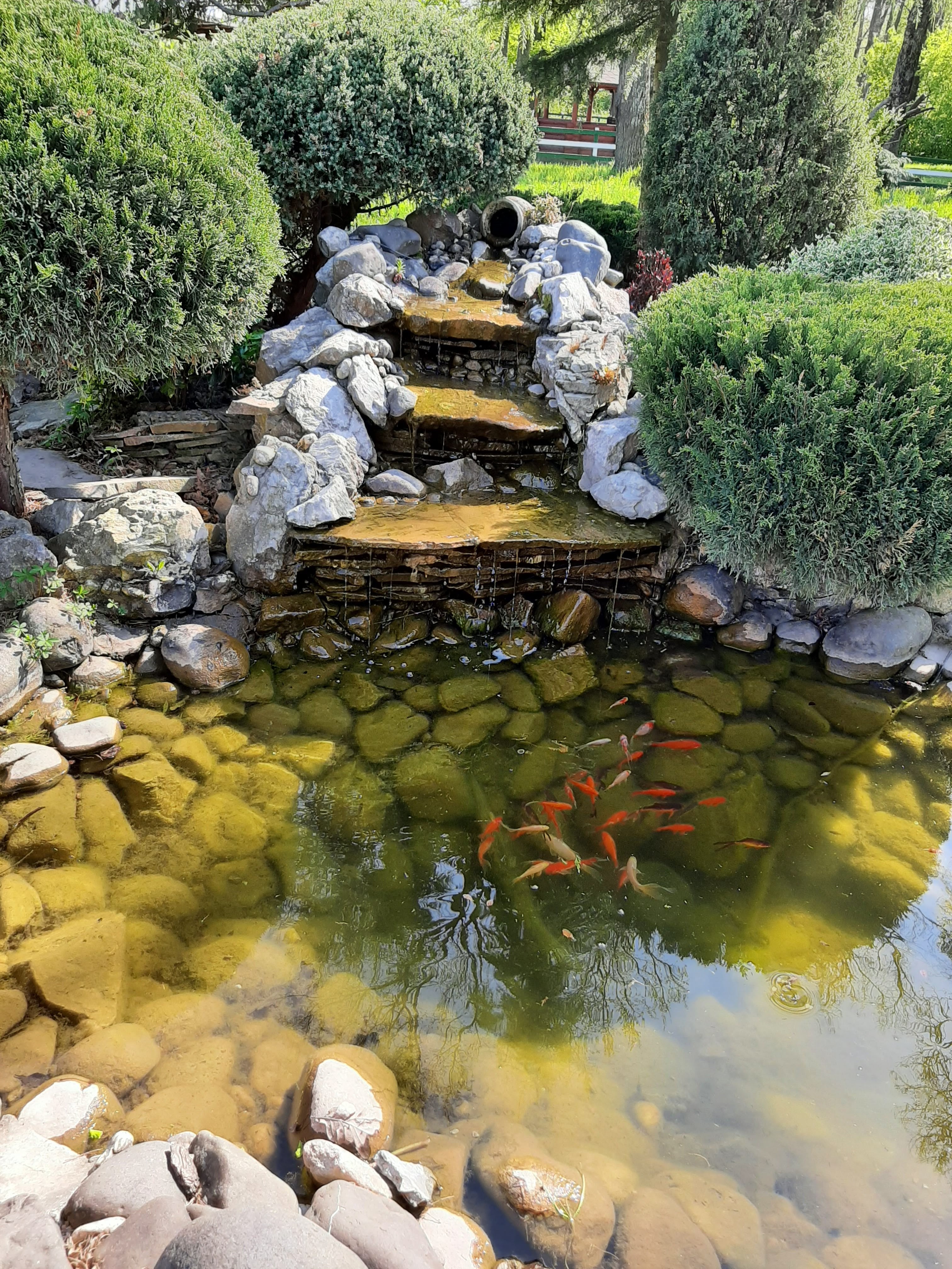 Vadász Csárda image 7