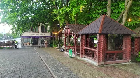 Nichna Feya Motelʹ image 4