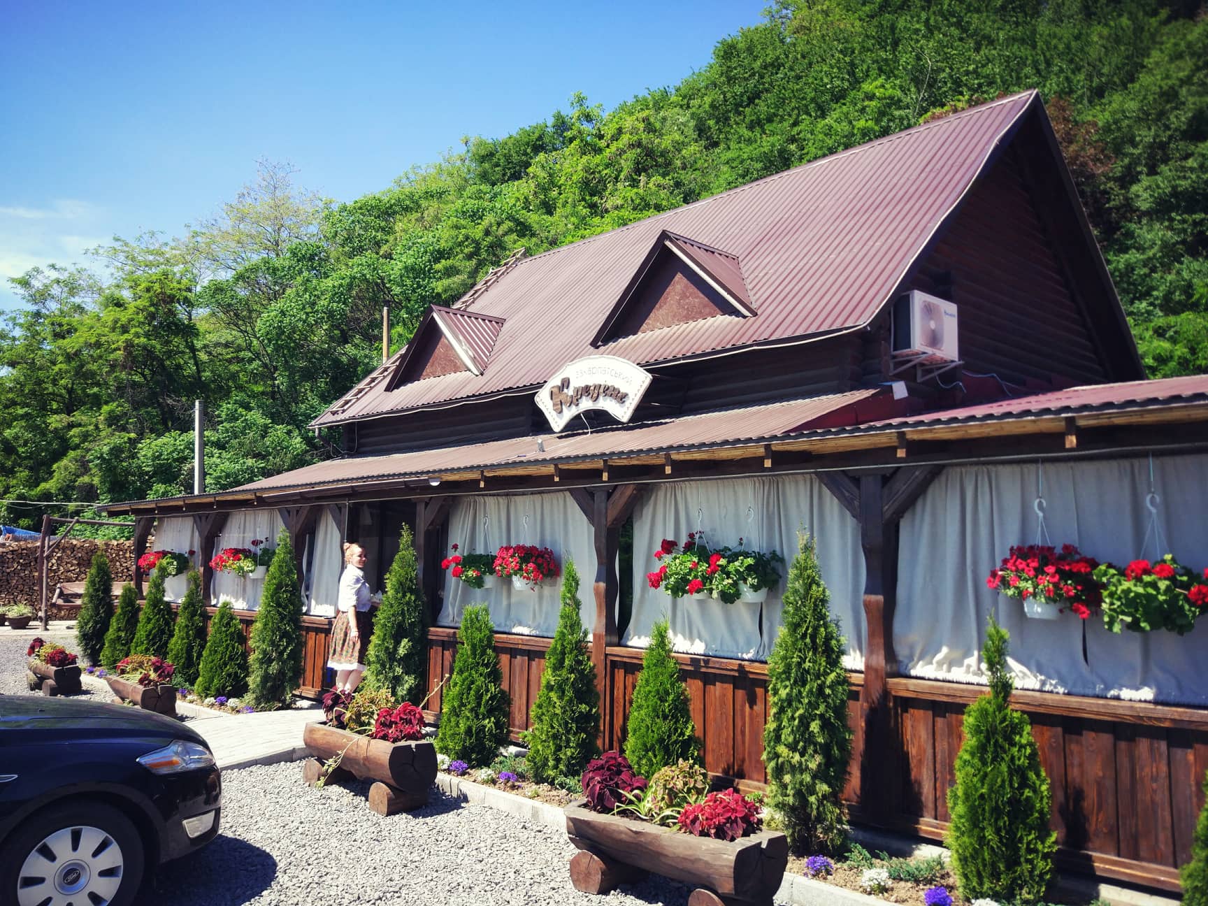 Transcarpathian KredenS image 7