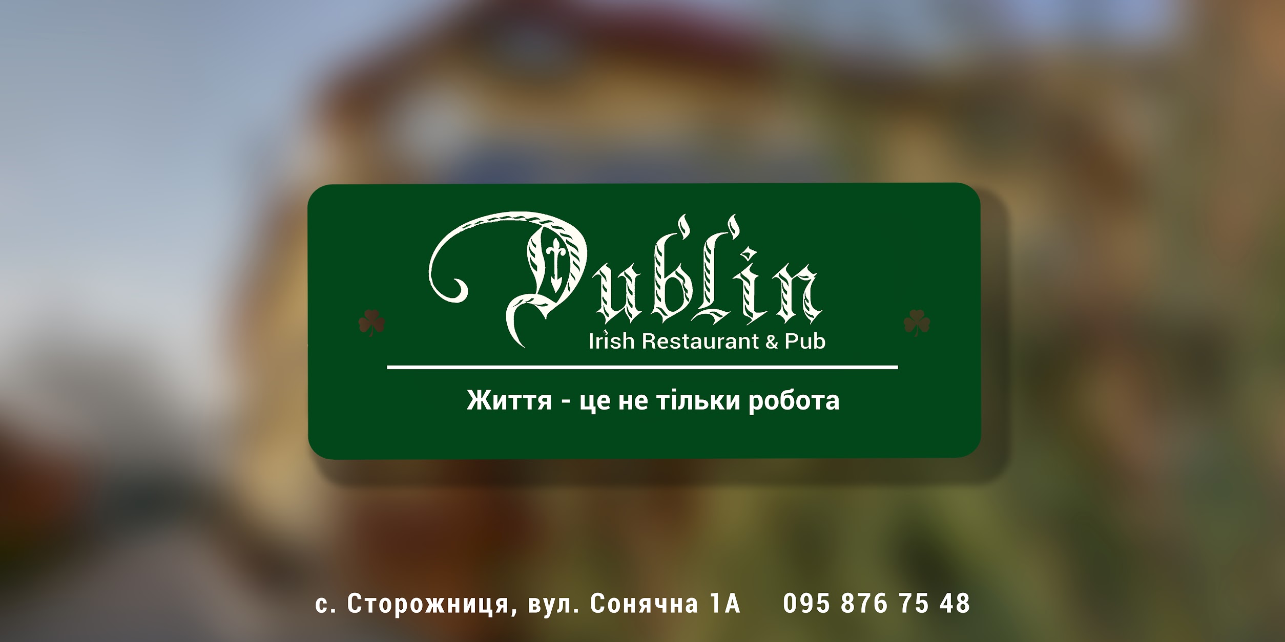 Dublin Irish Restaurant & Pub image 3