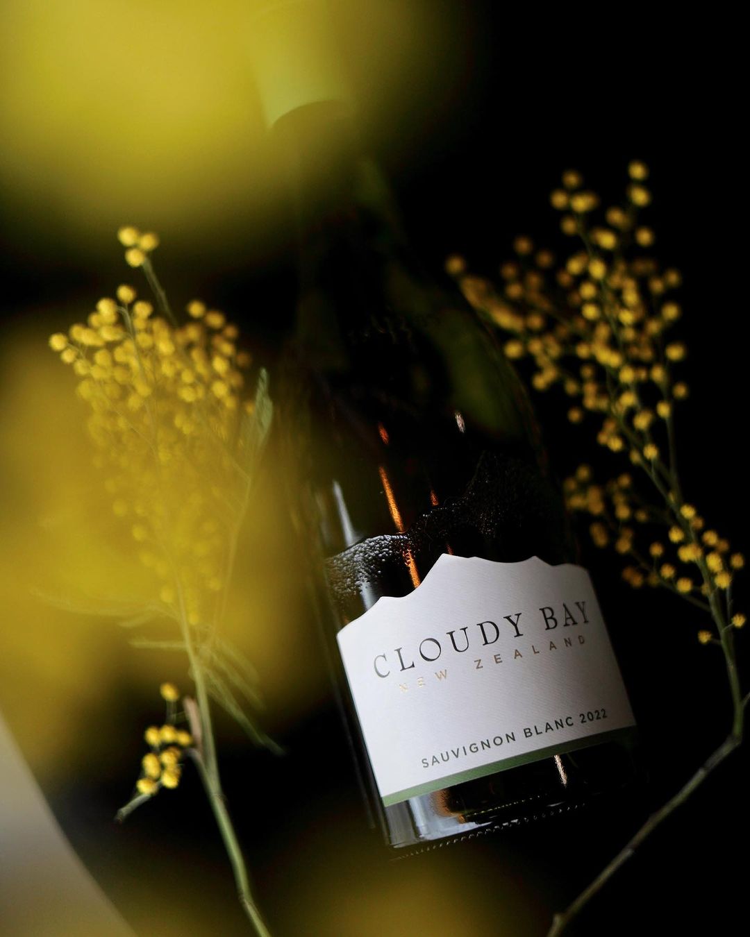 Loza Estetyka Vyna image 6