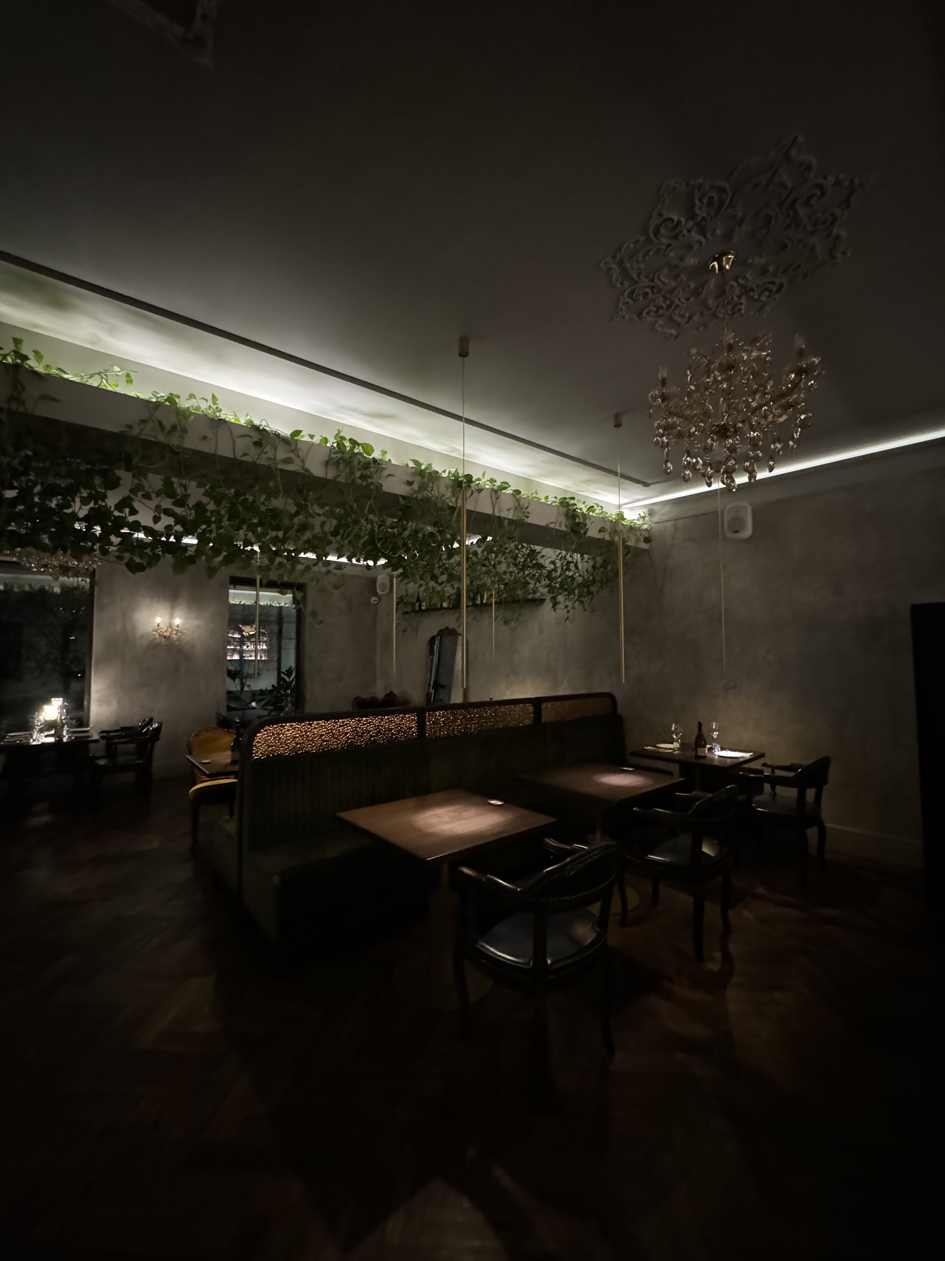 Tvoya Italiya image 9