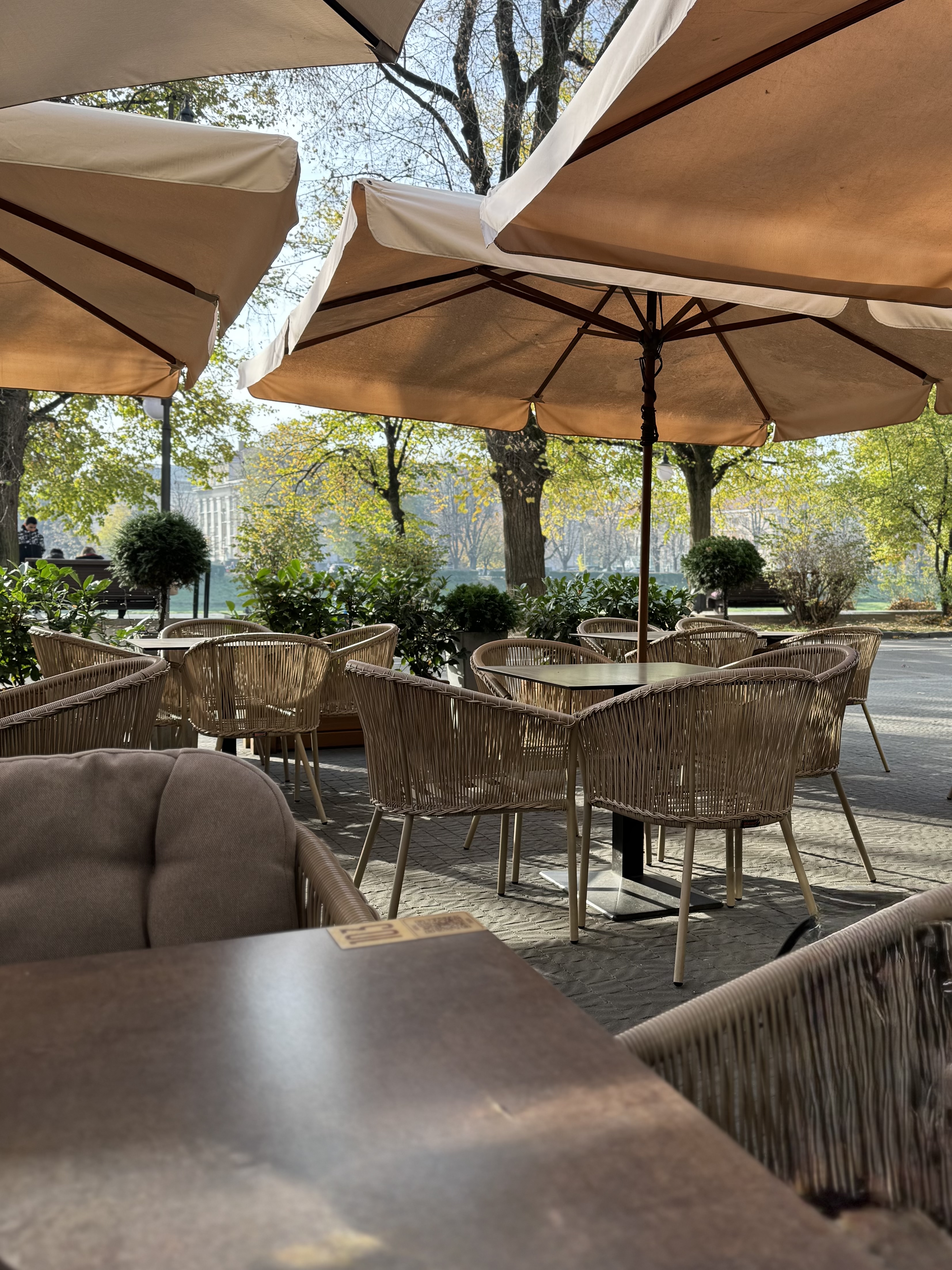 Ресторан «Липа» image 8