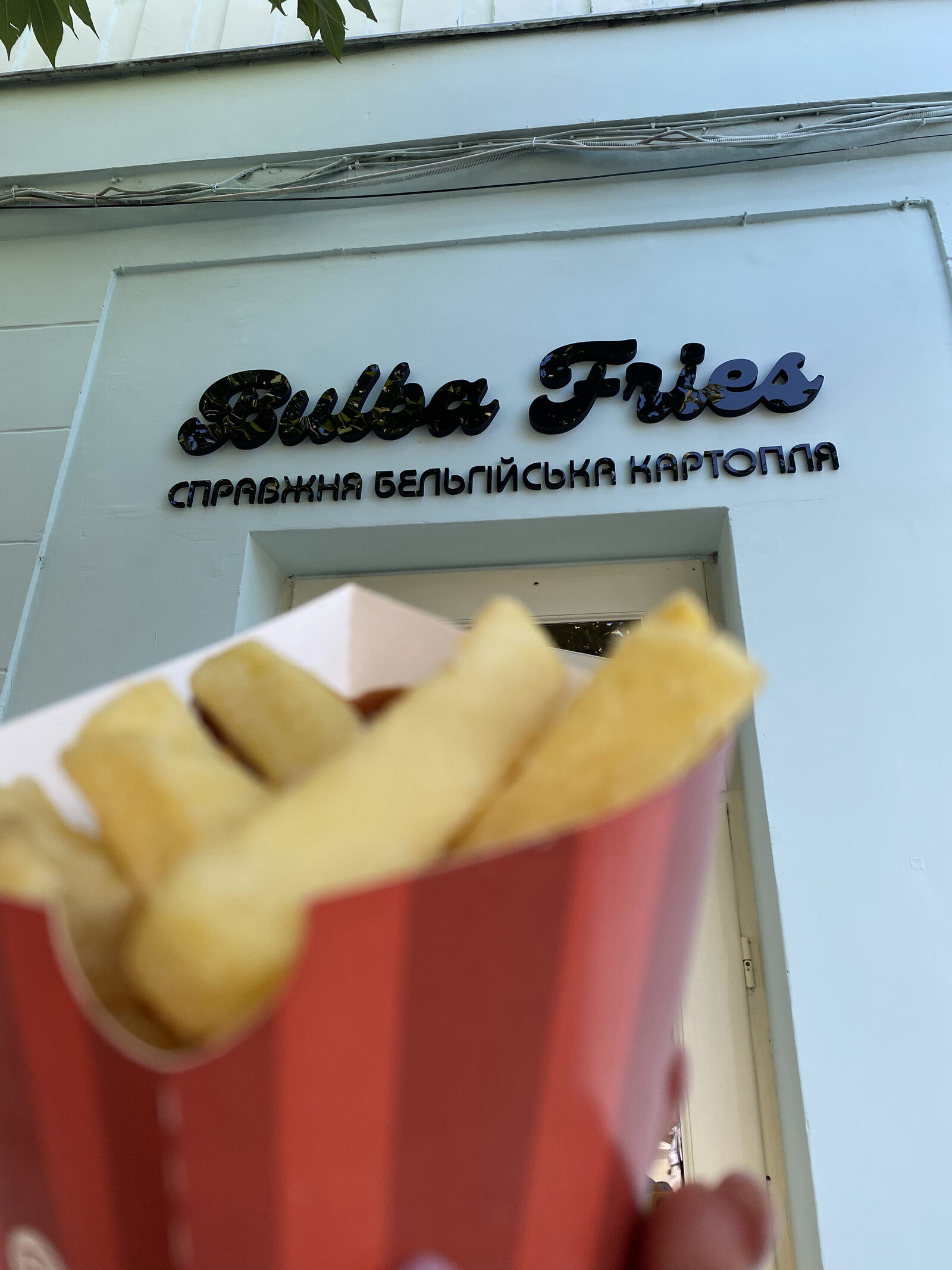 BulbaFries image 7