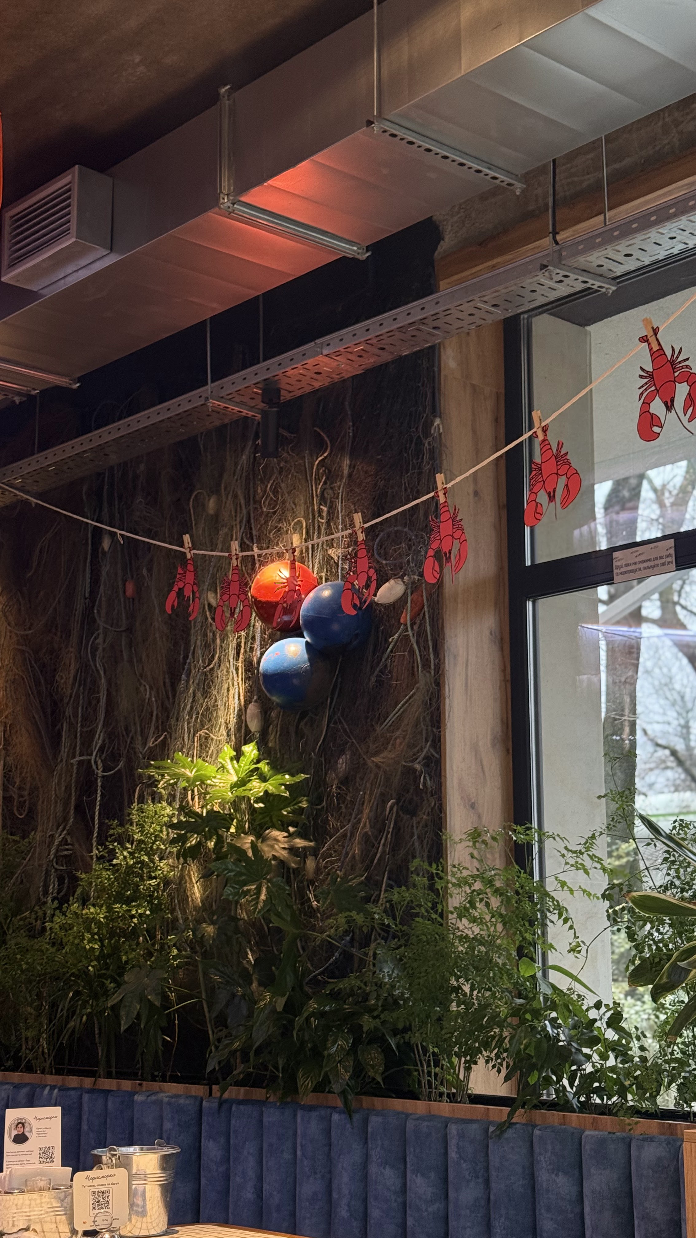 Чорноморка image 5