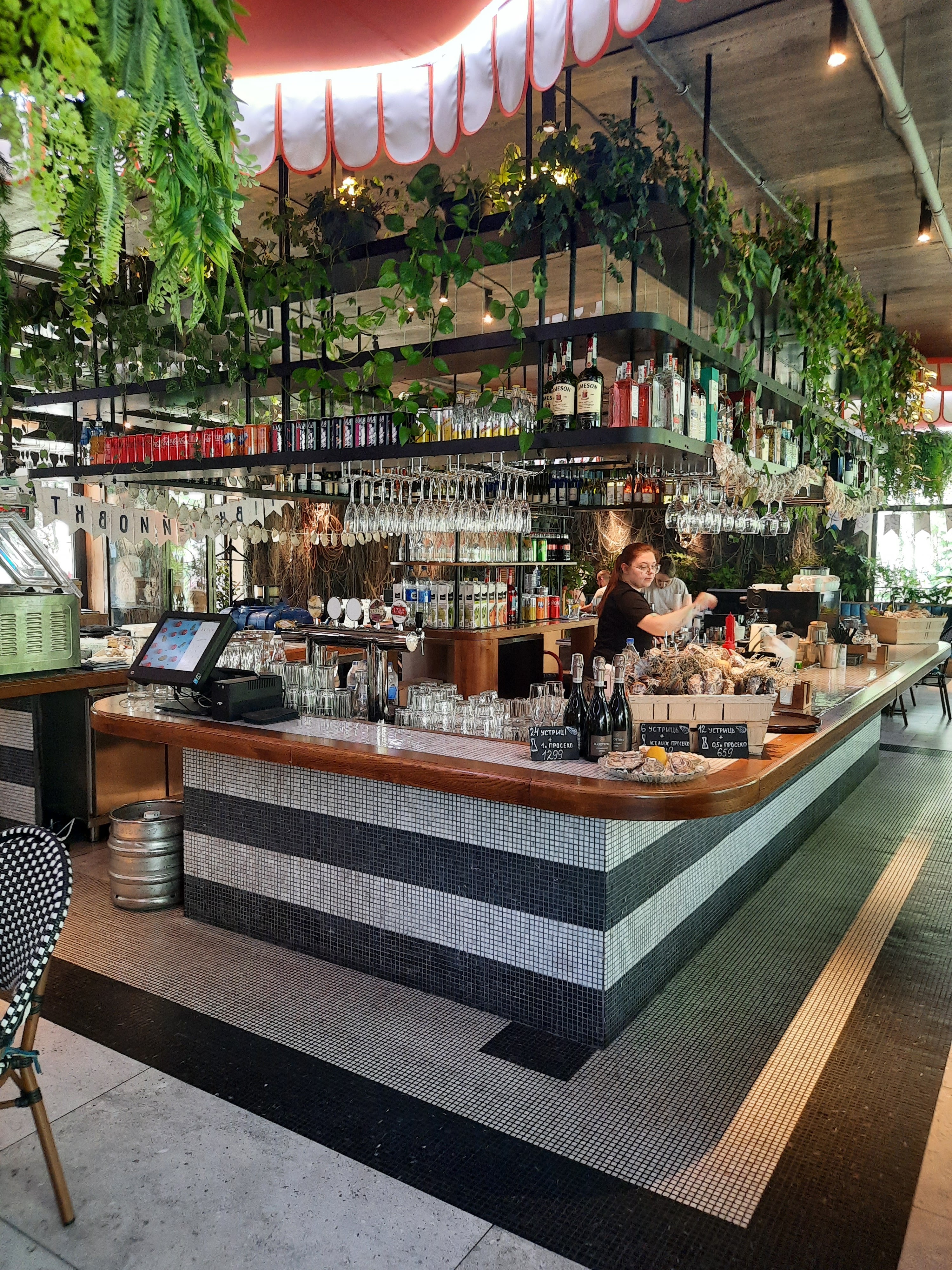 Чорноморка image 7