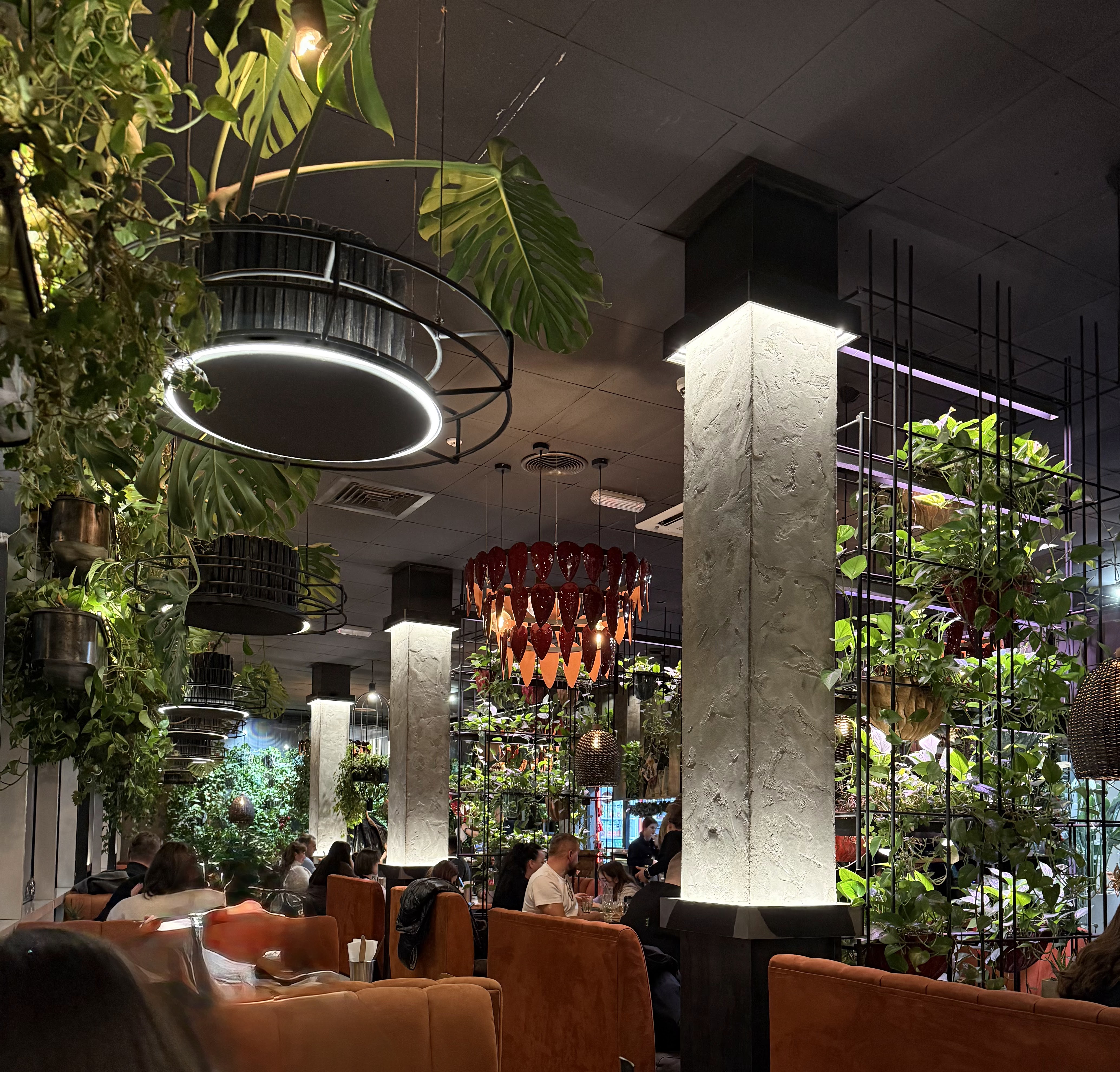 Сhili Pizza image 2