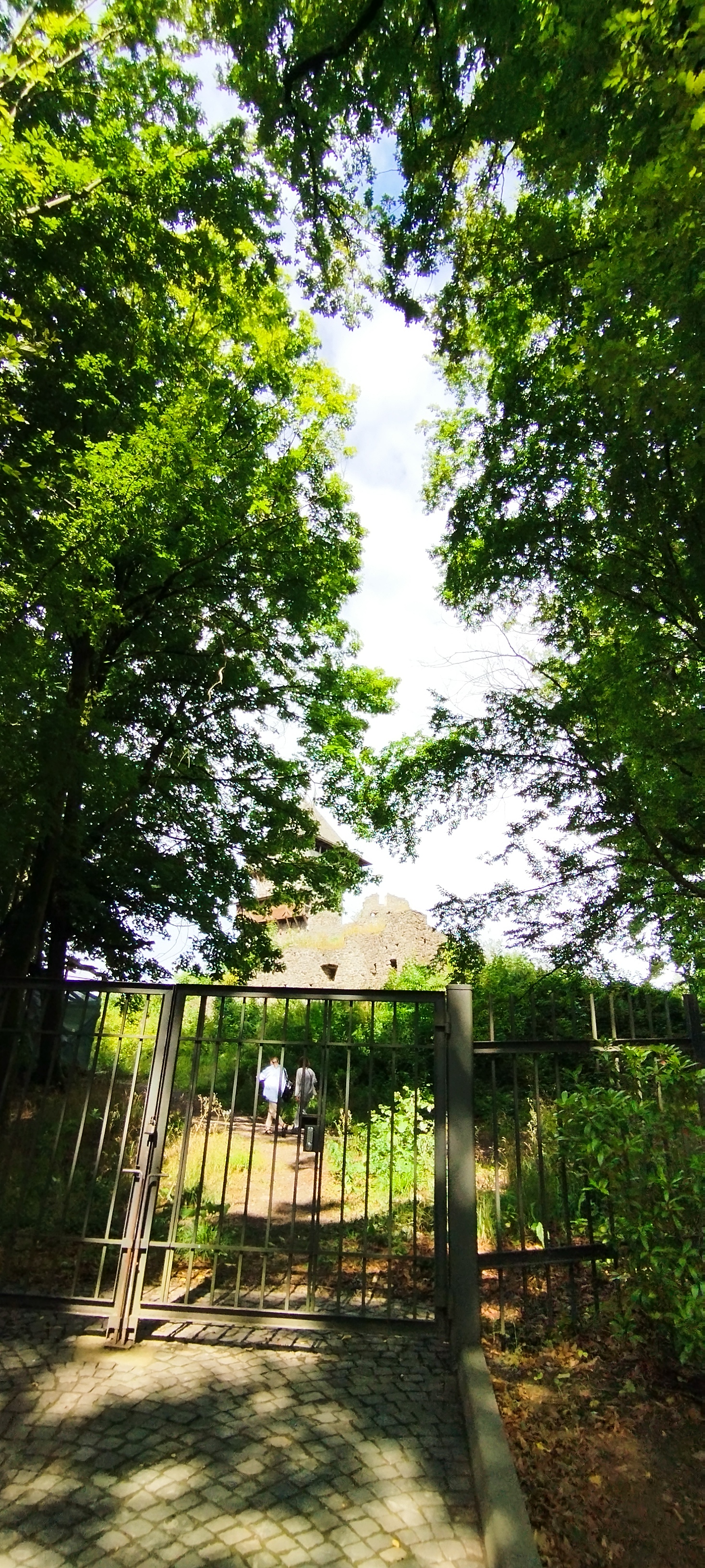 Ресторан Nevytsky Castle image 9