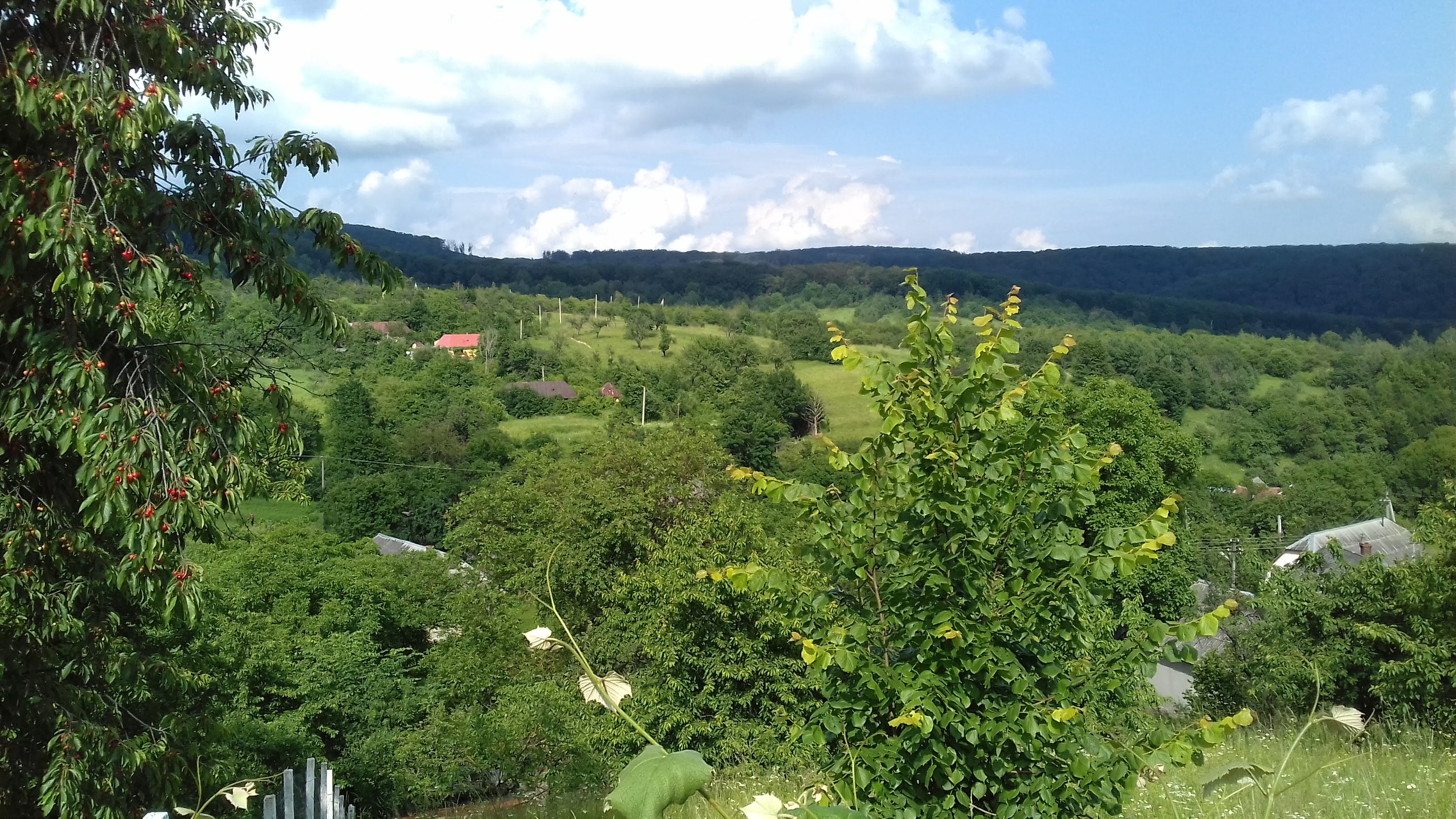 Гутянський Чан image 5