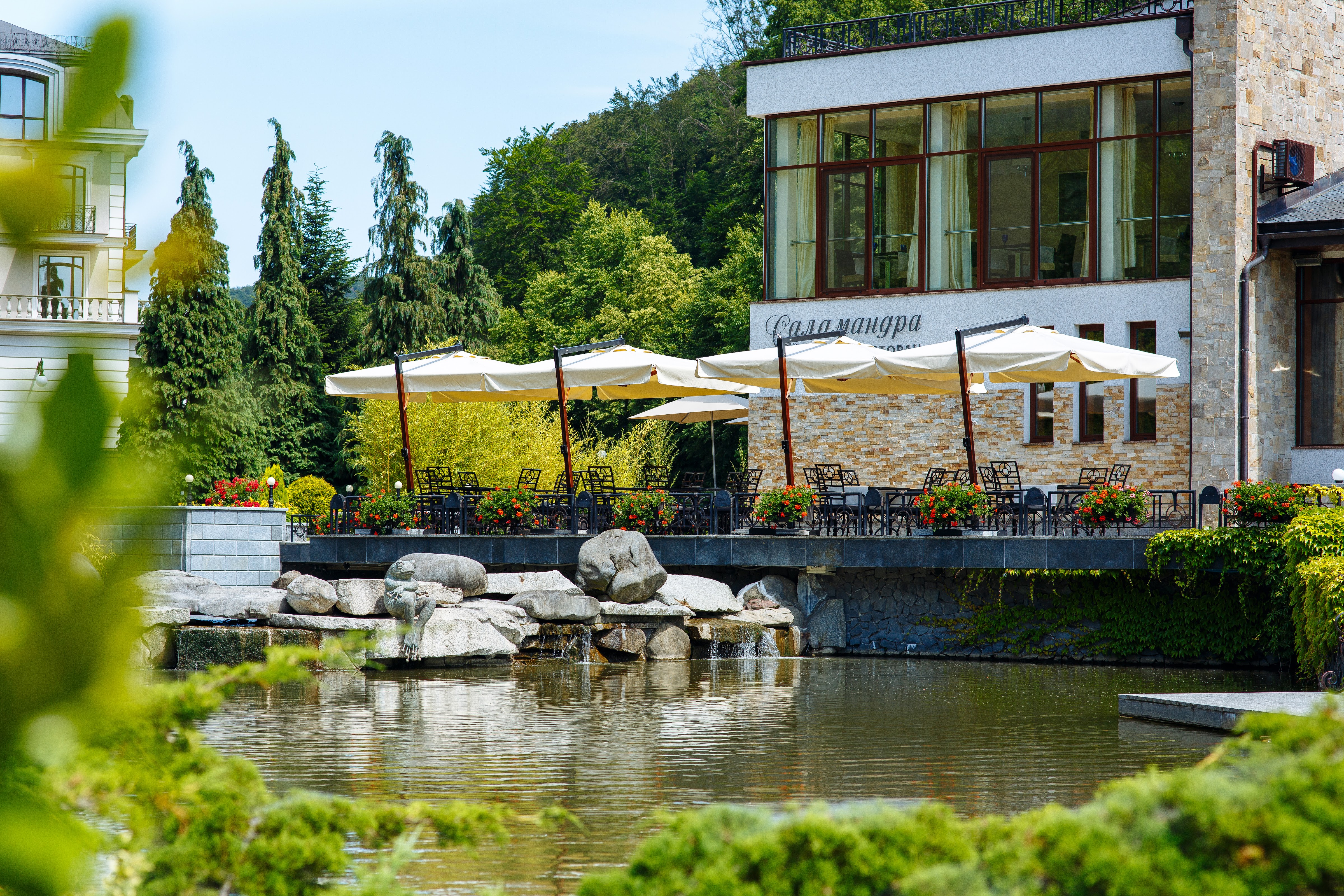 Restoran Salamandra, Sk Derenivsʹka Kupilʹ image 3