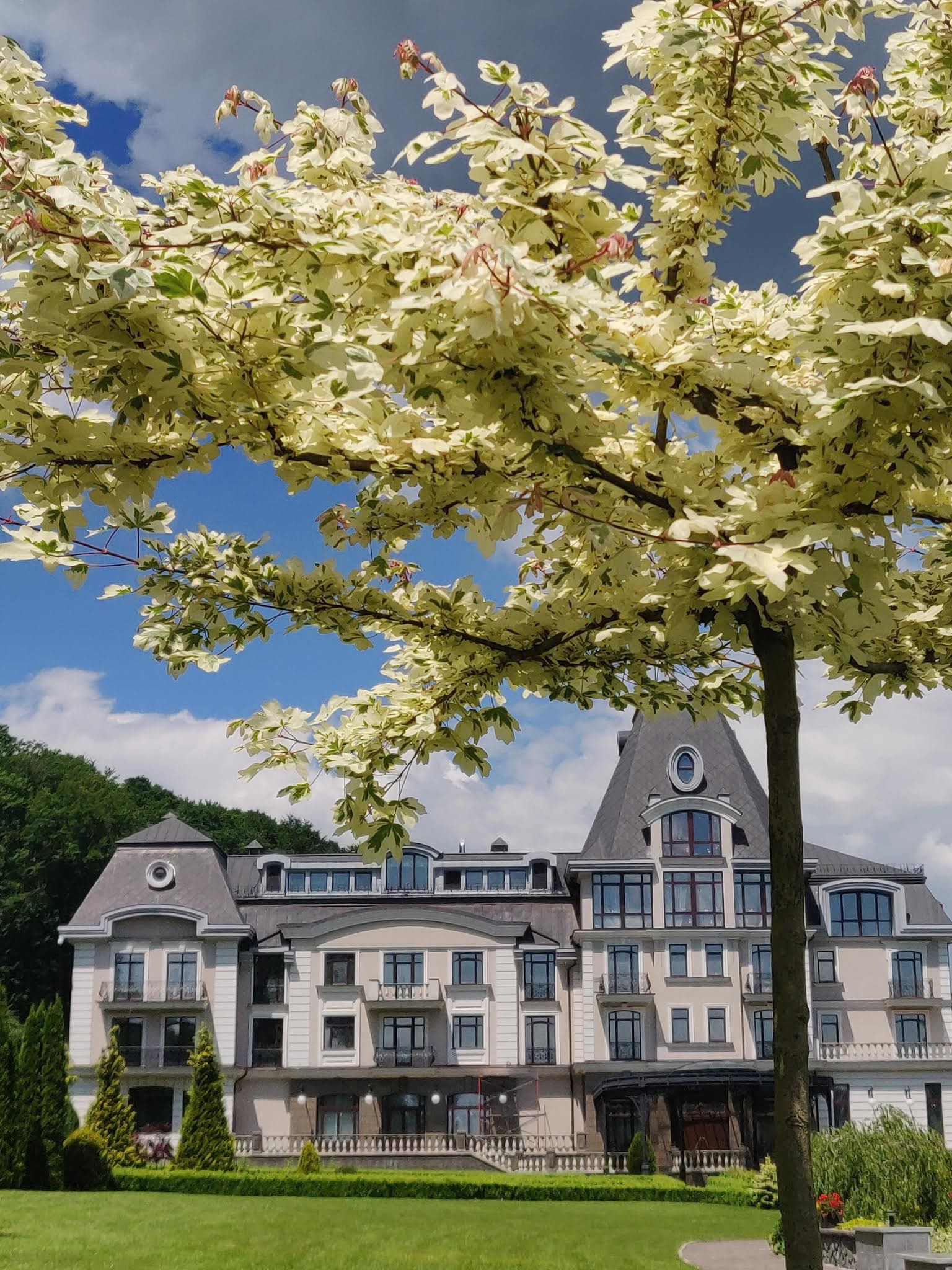 Restoran Salamandra, Sk Derenivsʹka Kupilʹ image 5