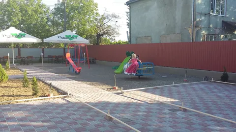 Feniks image 7