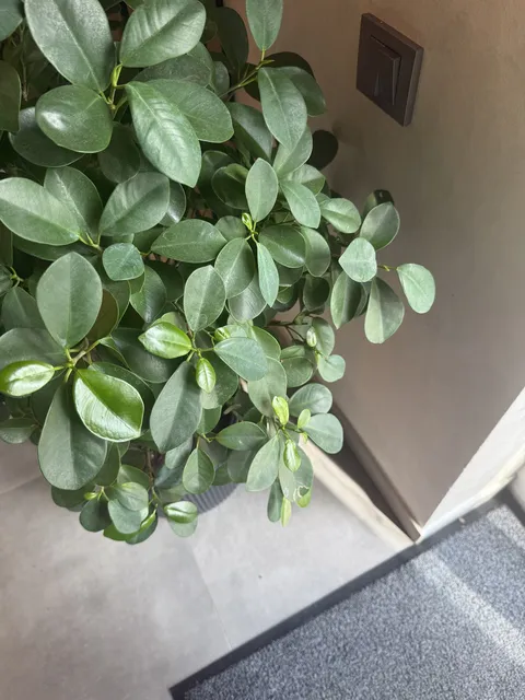 Moloko Cafe image 7
