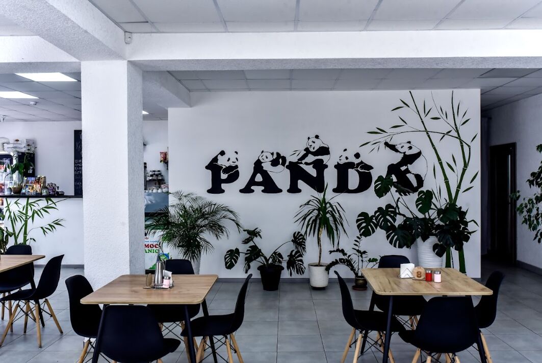 Panda image 4