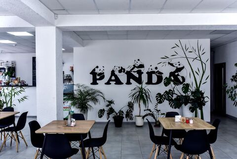 Panda image 4