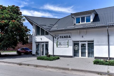 Panda image 7