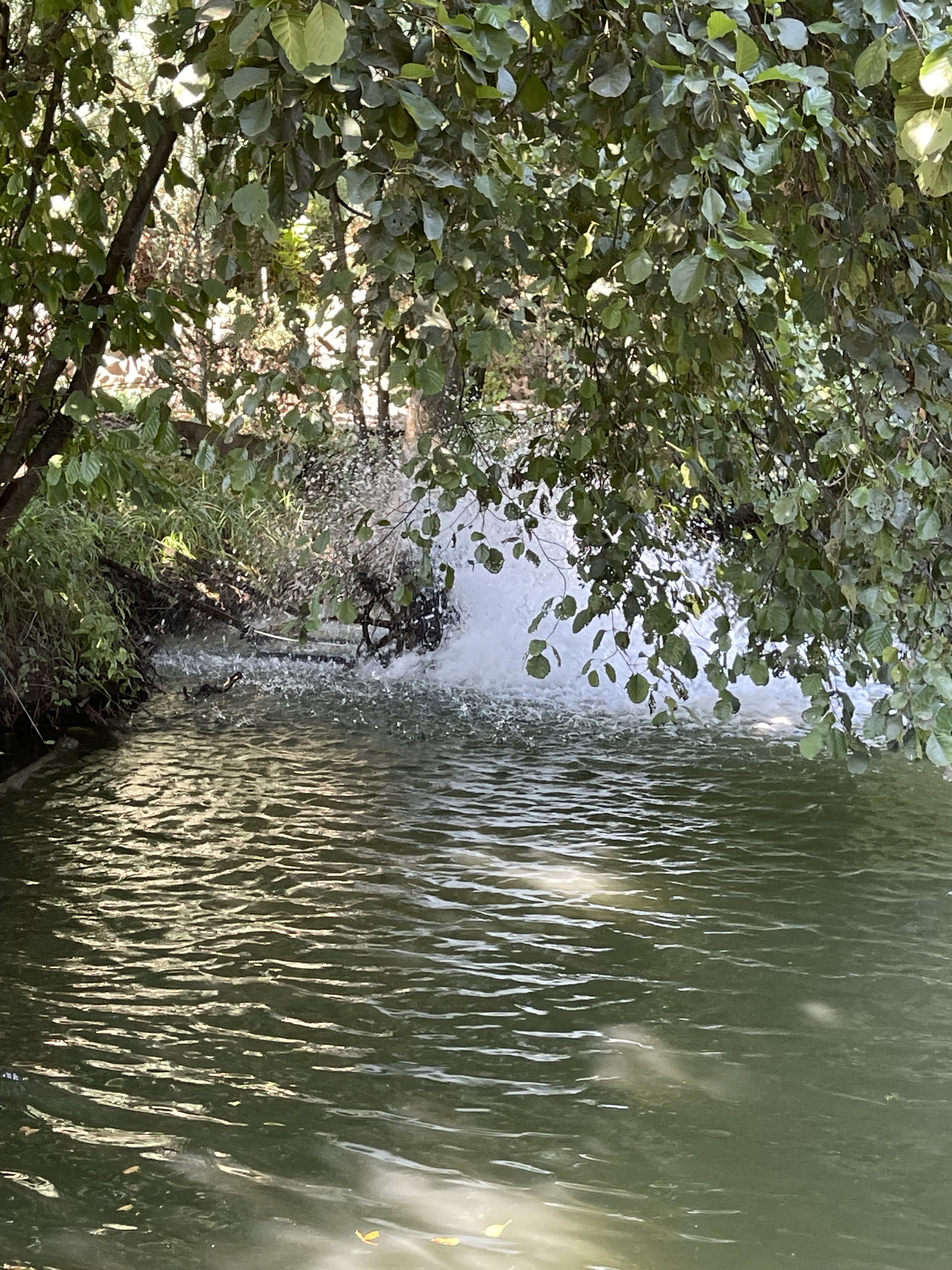 Karpat·sʹka Forelʹ"Hotelʹ" Lovlya Foreli Chan Na Travakh image 9