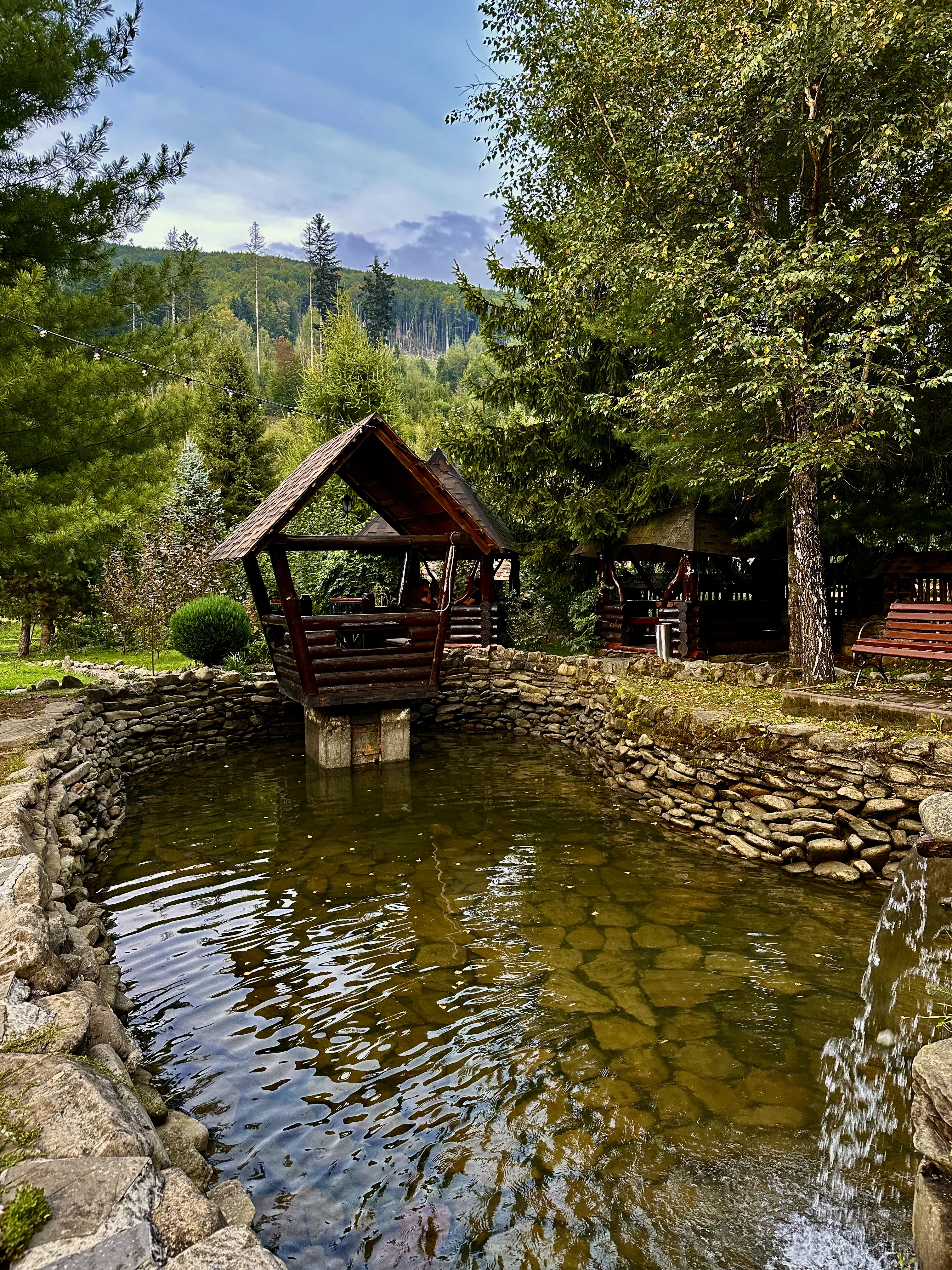 Kolyba And Trout image 7