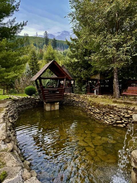 Kolyba And Trout image 7