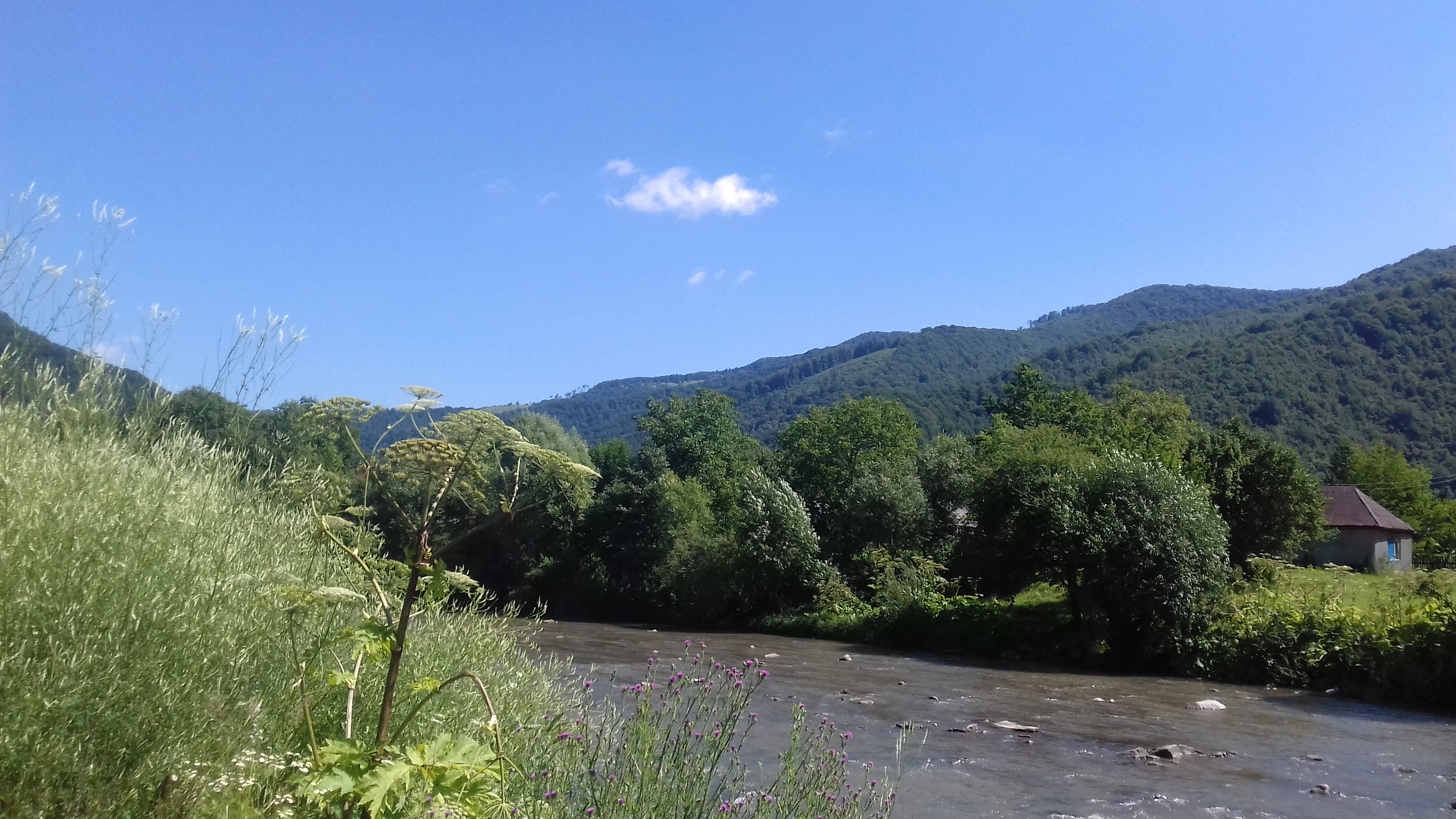 Ukrainian Food Cafe image 7