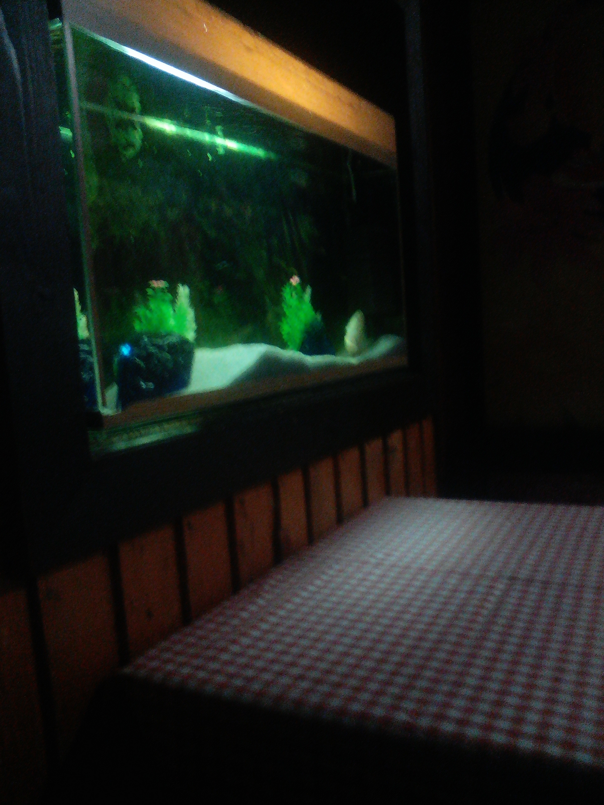 "Roksolana" image 10