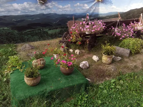 Palinkashova Deca image 7